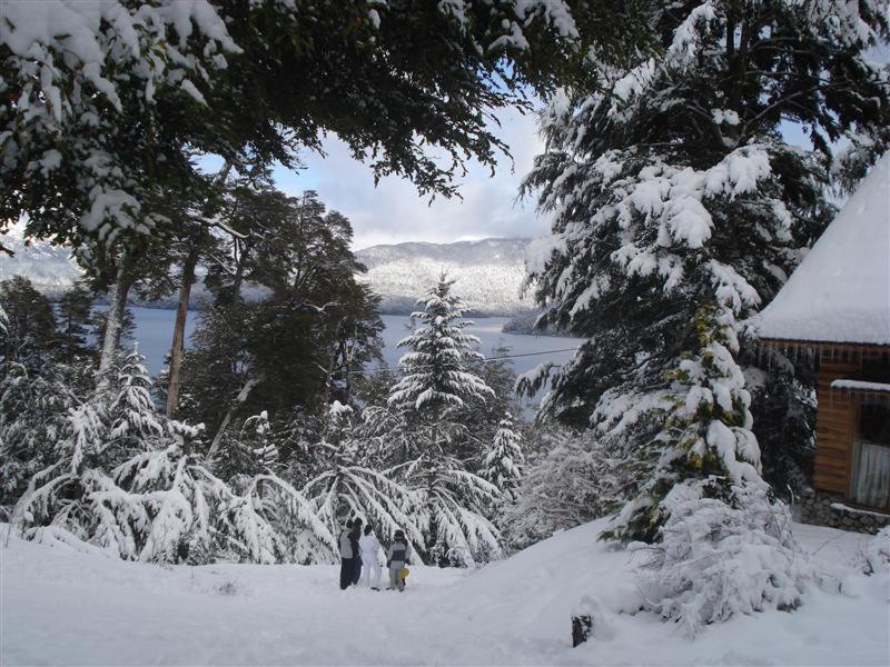 Paisaje Bandurrias