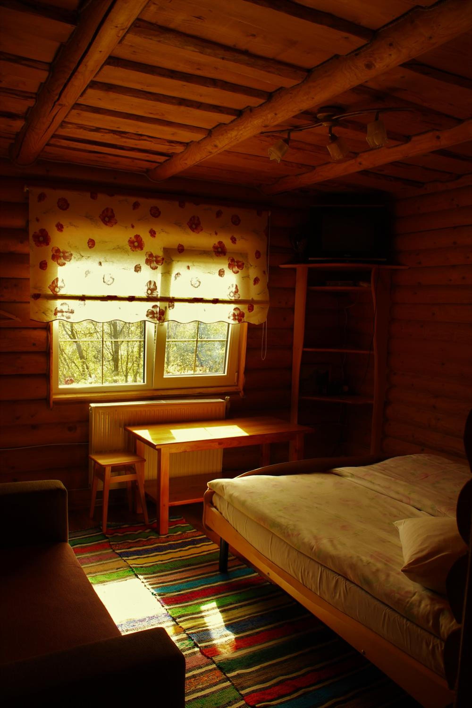 Photo 12
