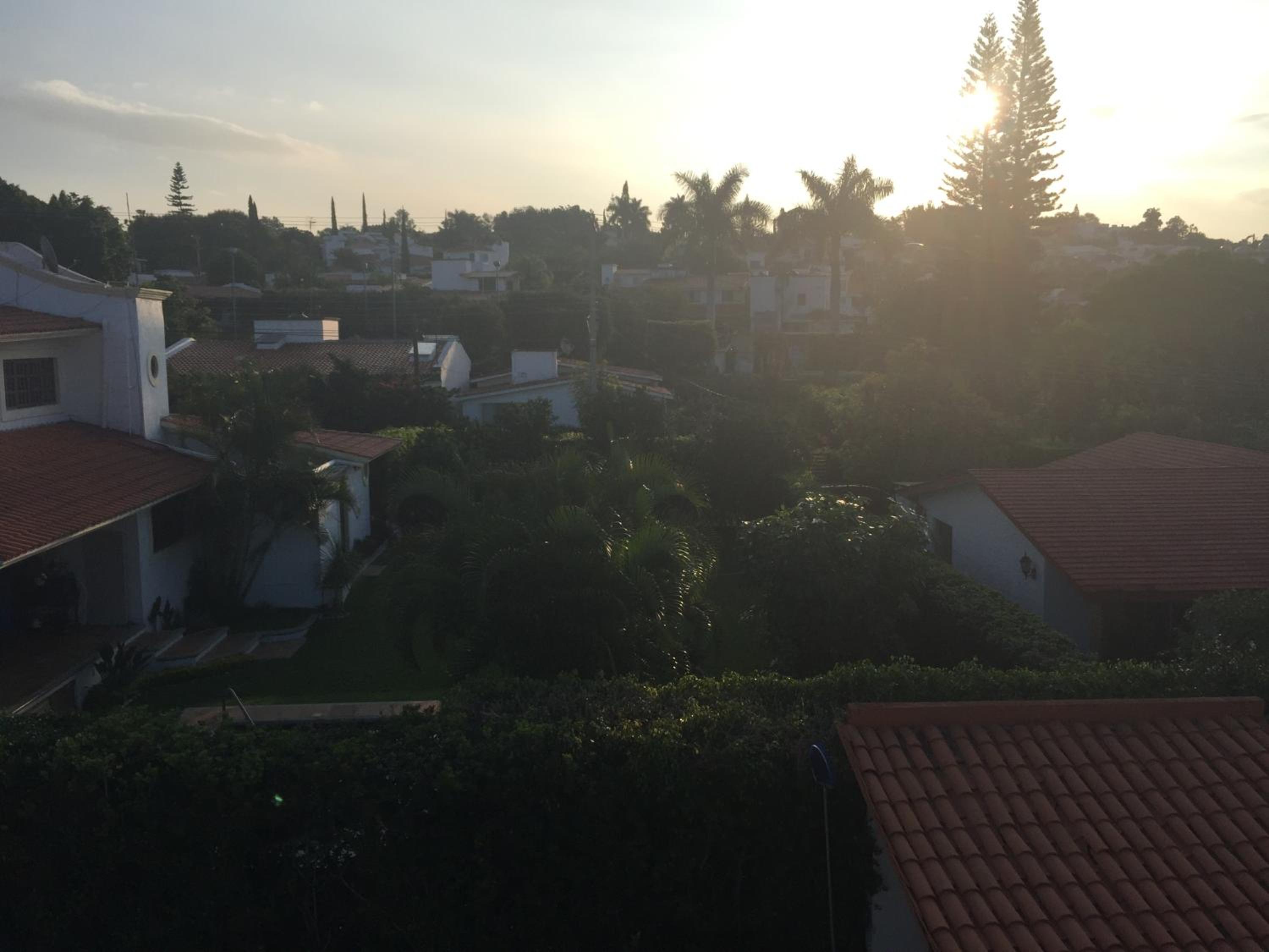Photo 33