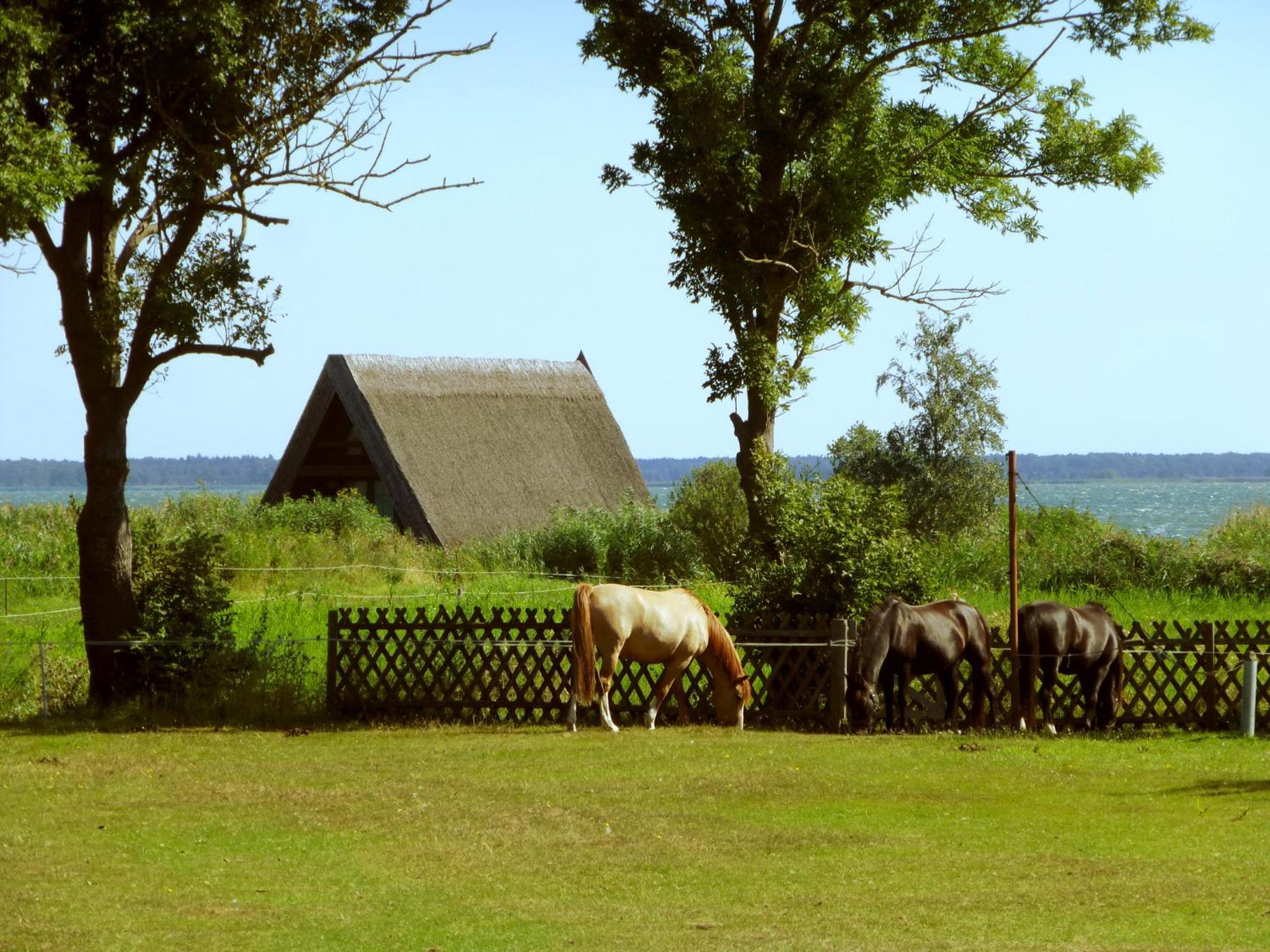 Steinbock-Ferienwohnungen
