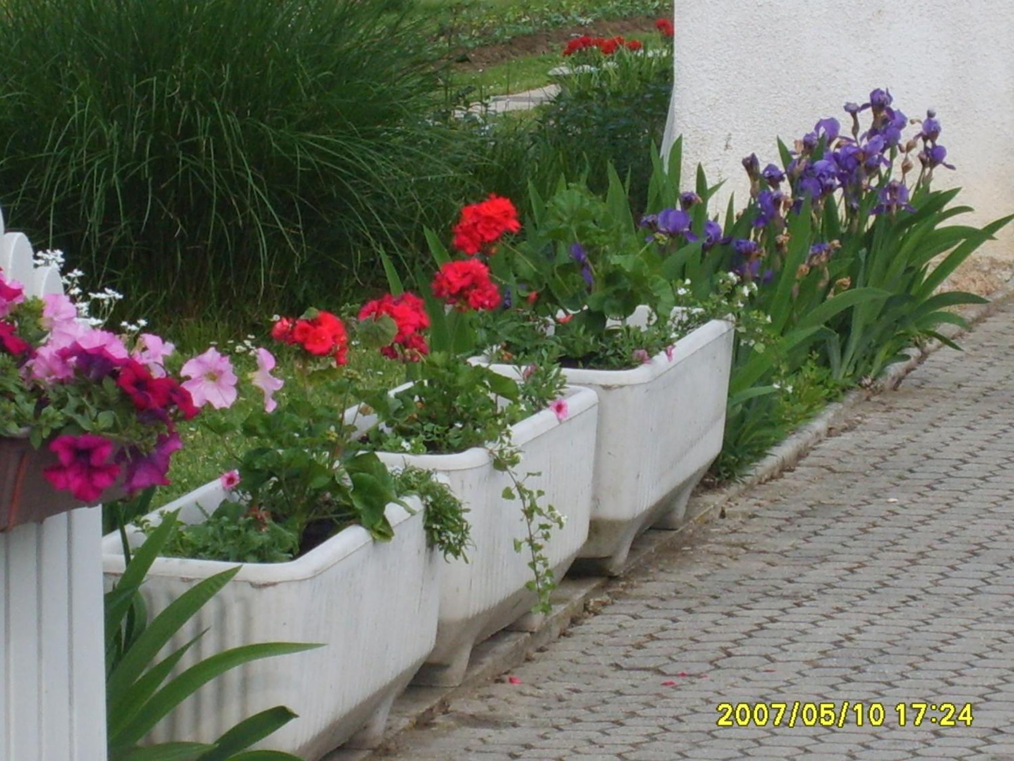 Photo 49