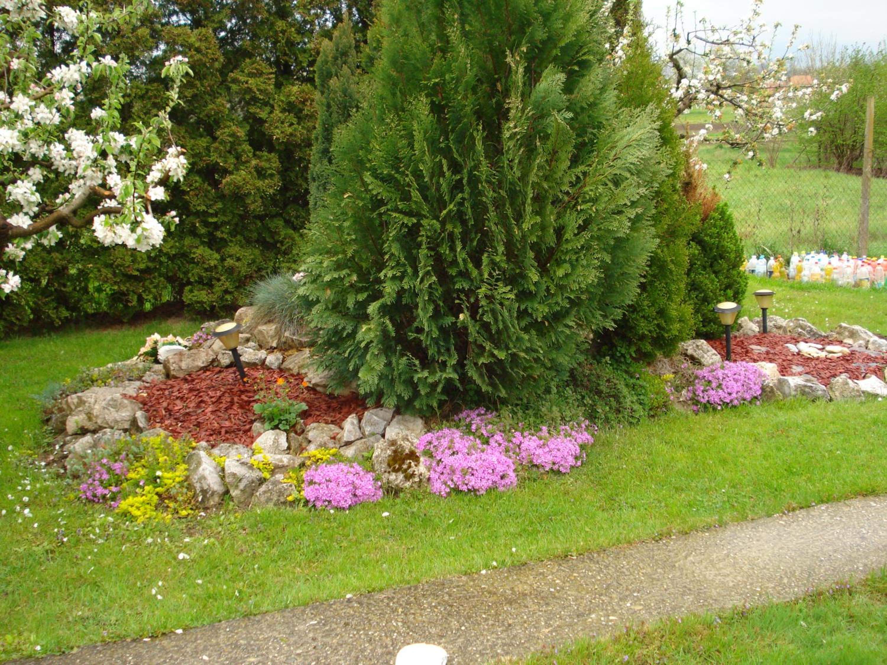 Photo 51
