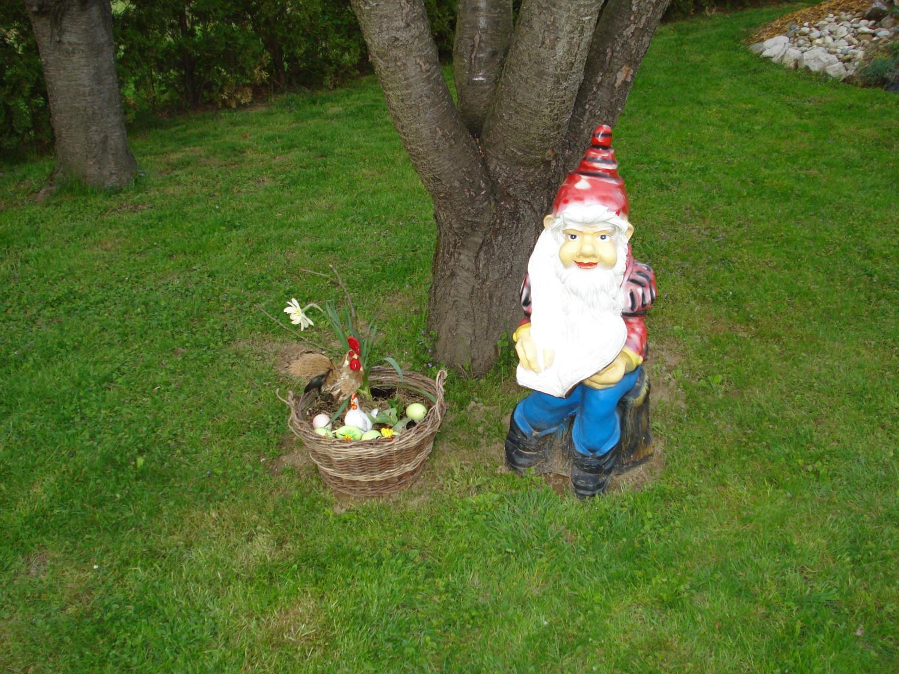 Photo 53
