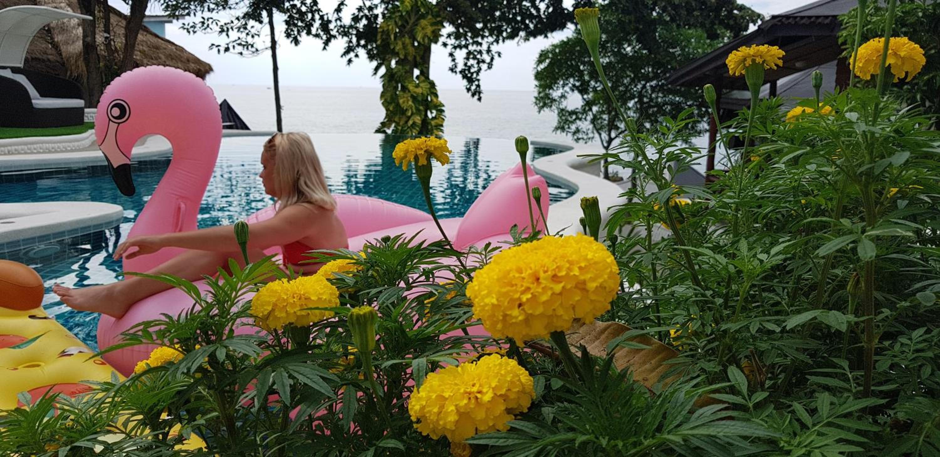 Clear View Resort
