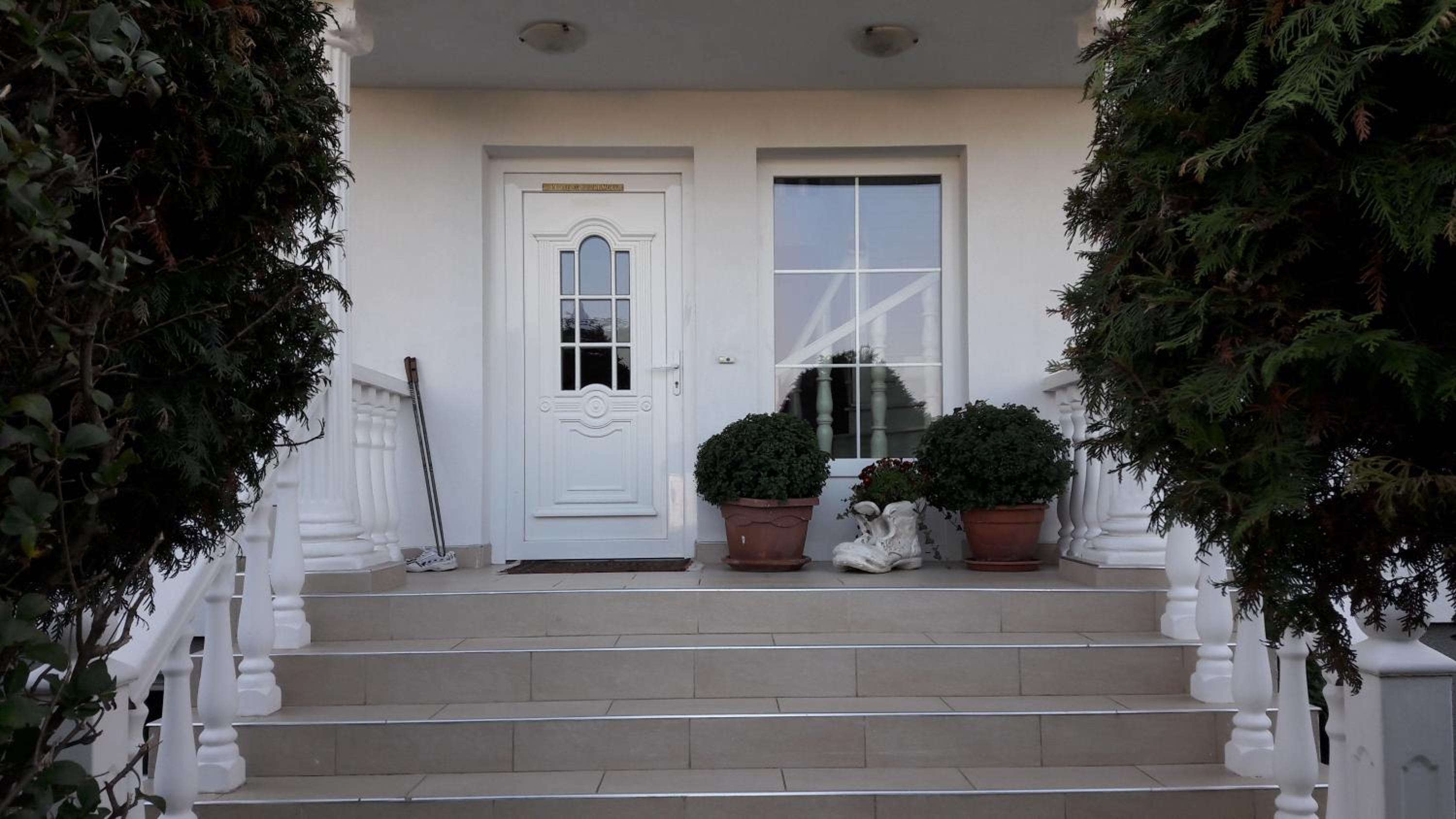 Leon's Silberwald