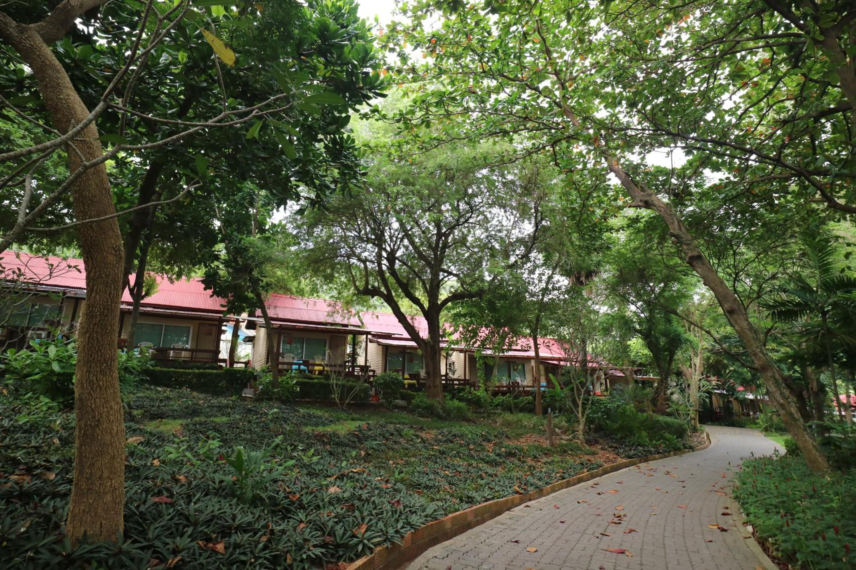 Hotel Palita Lodge - SHA Plus - Image 1