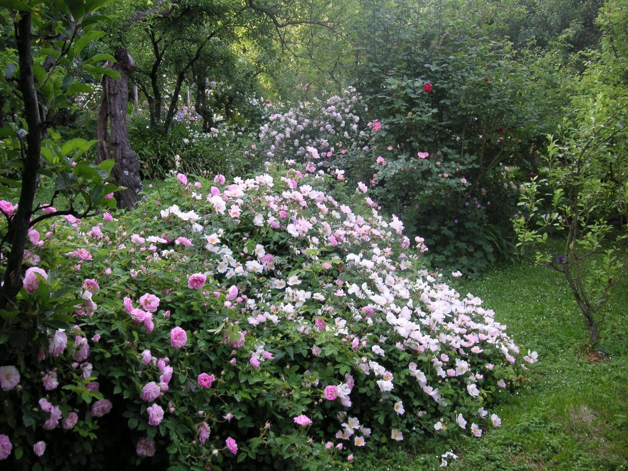 Photo 43