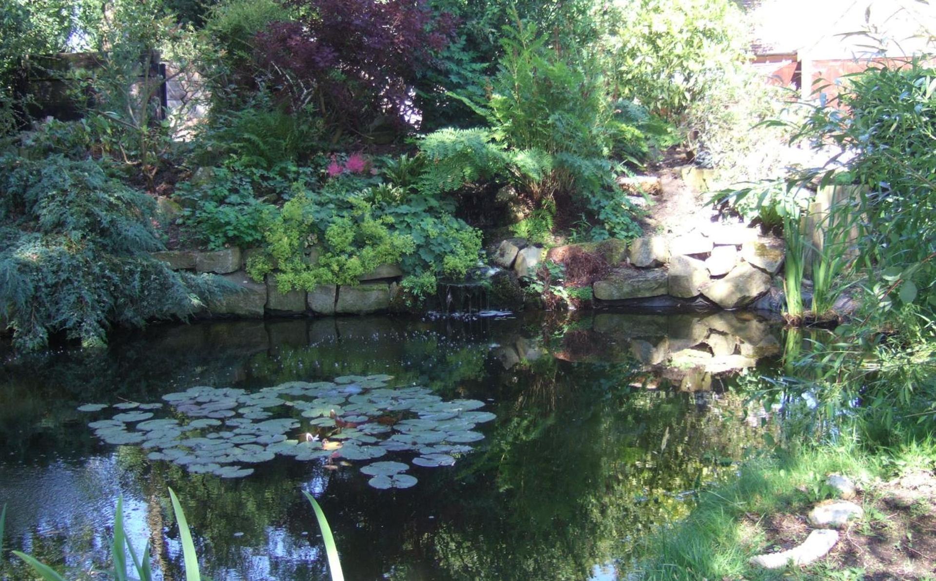 Lime Trees Farm view 5