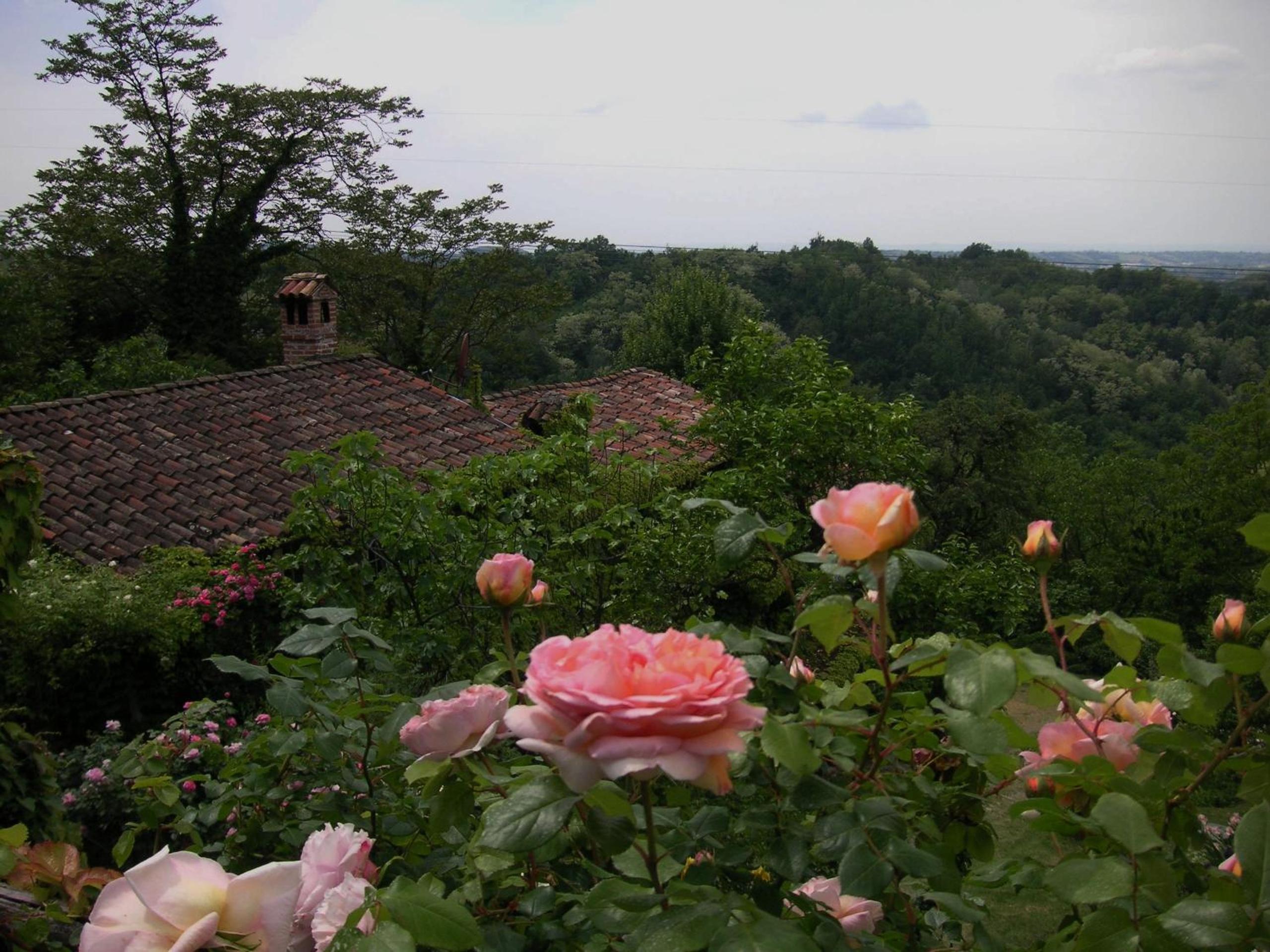 Photo 44