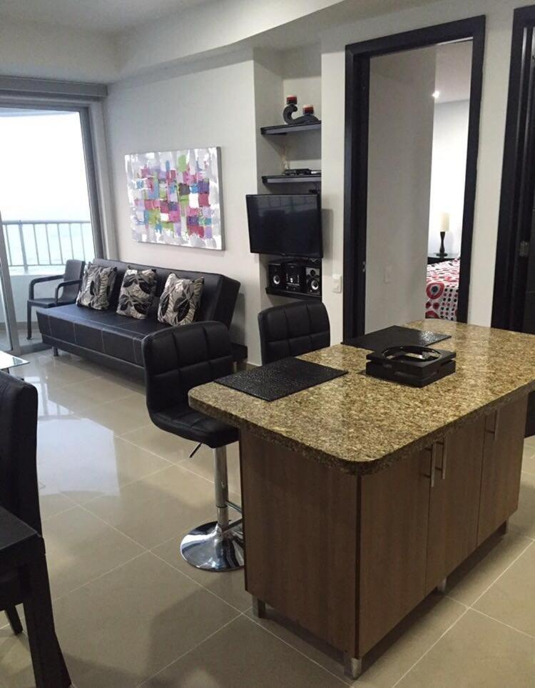 Palmetto Luxury