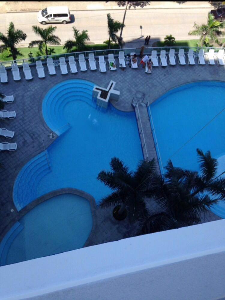 Palmetto Luxury