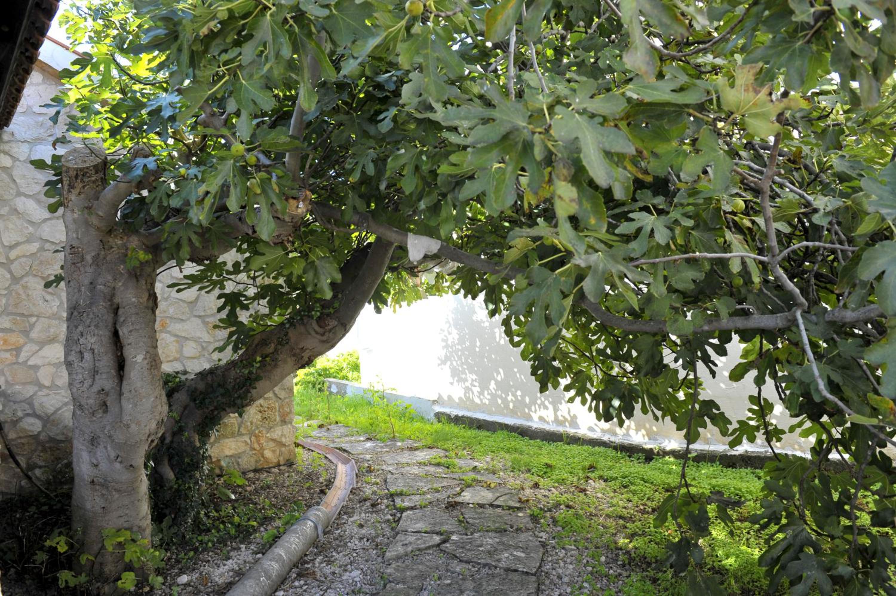 Photo 27