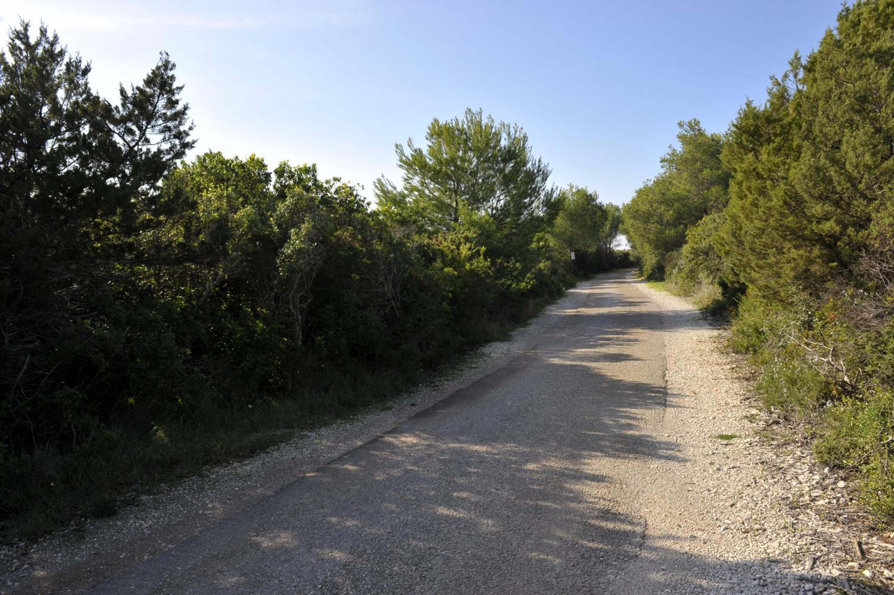 Photo 46