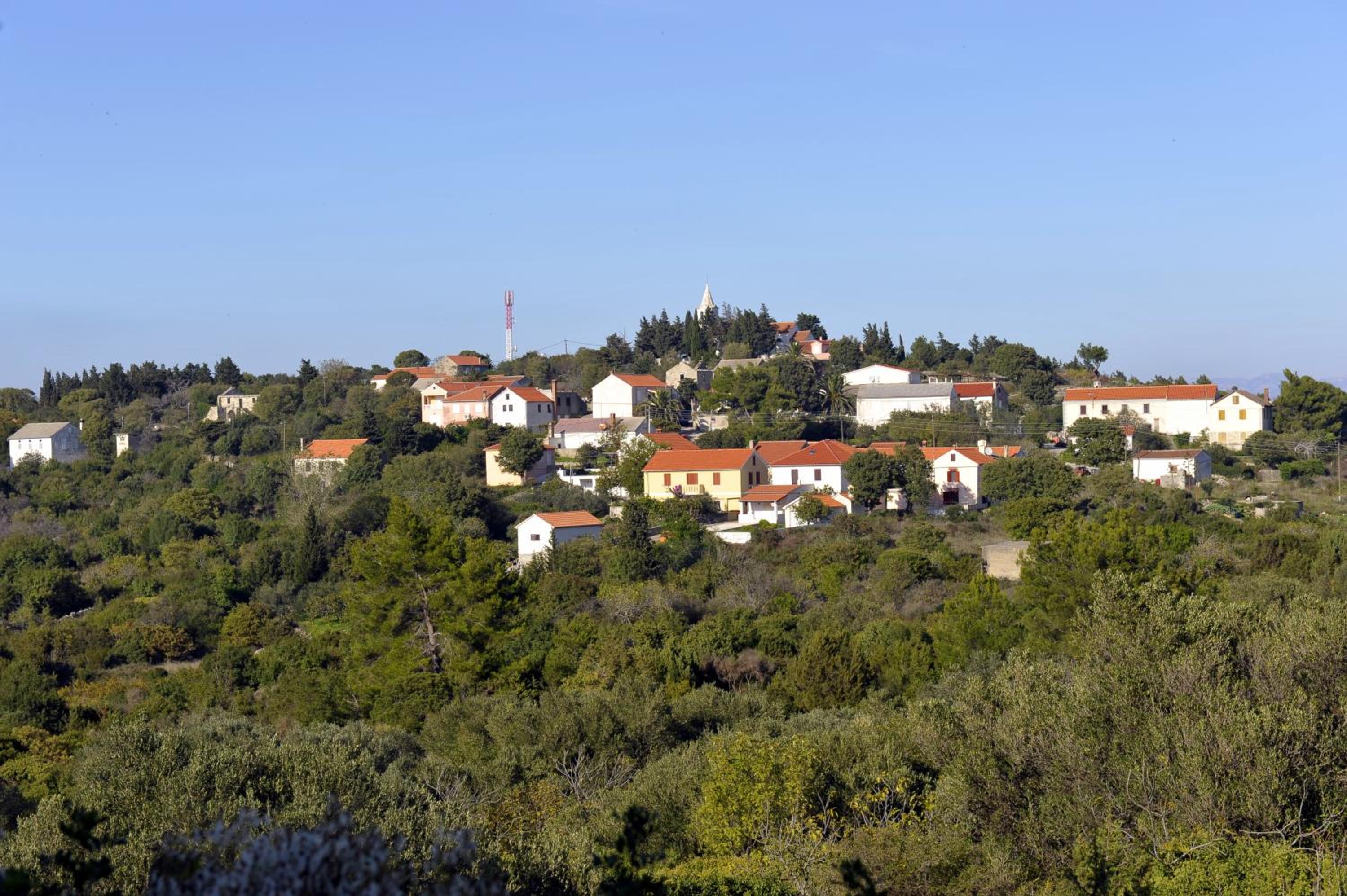 Photo 41