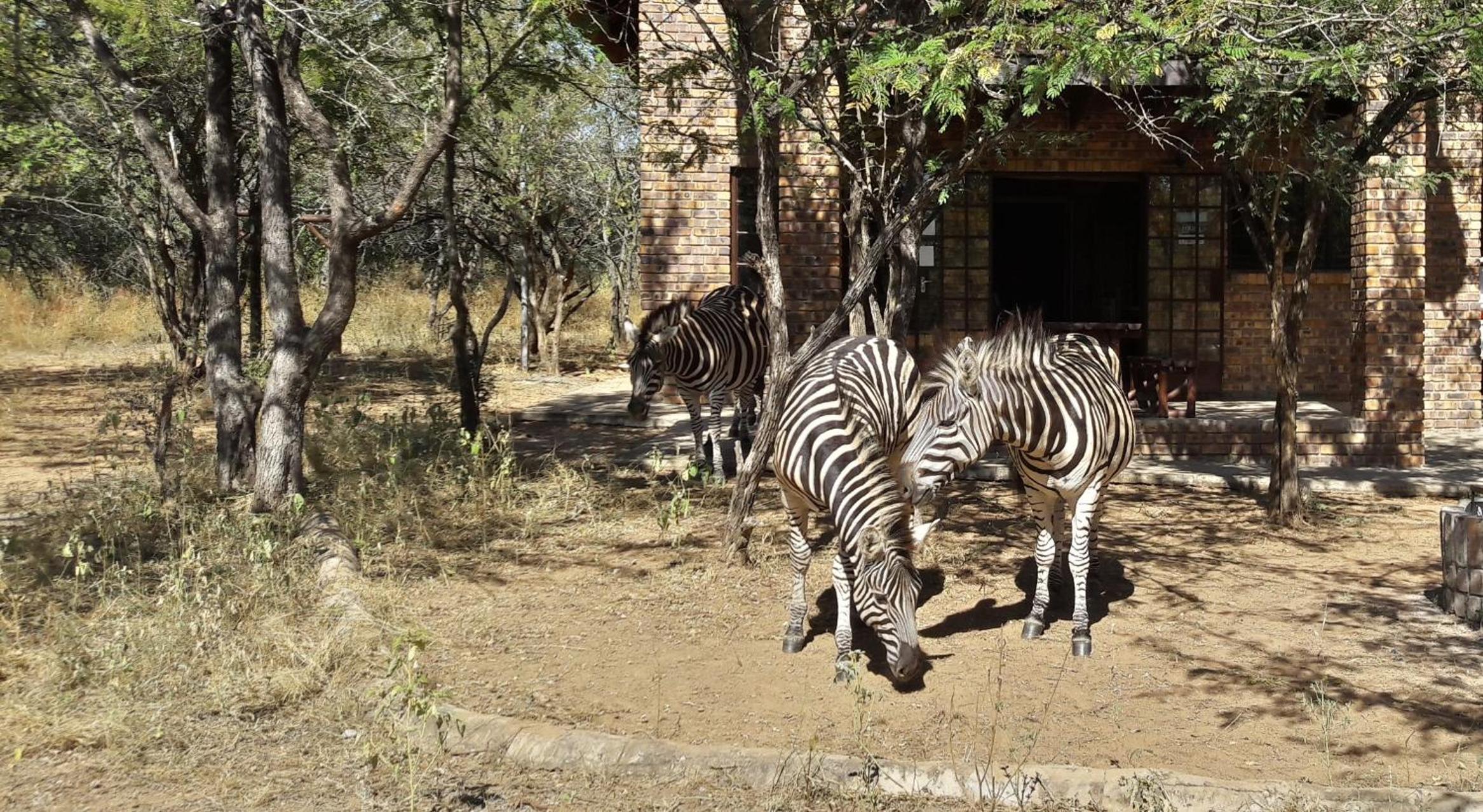 Umvangazi Rest view 5