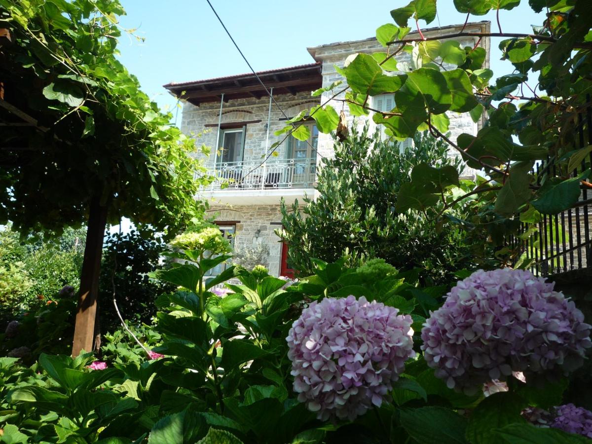Photo 11