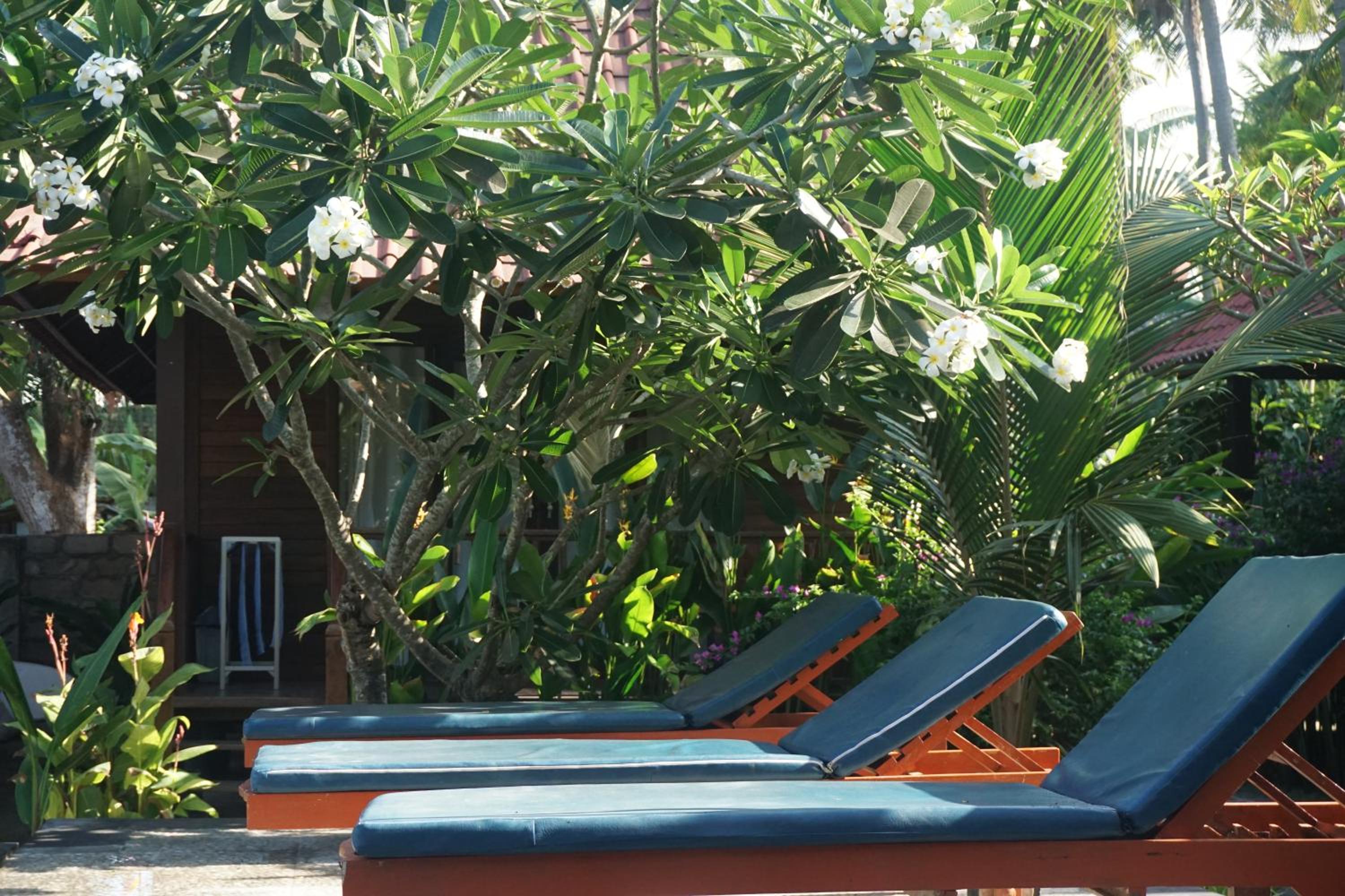 Nyoman Guesthouse and Grill