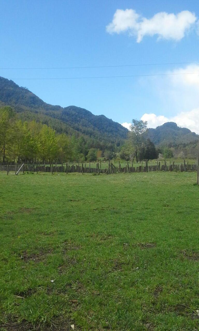 Cabañas piedra Alta, Huilo Huilo