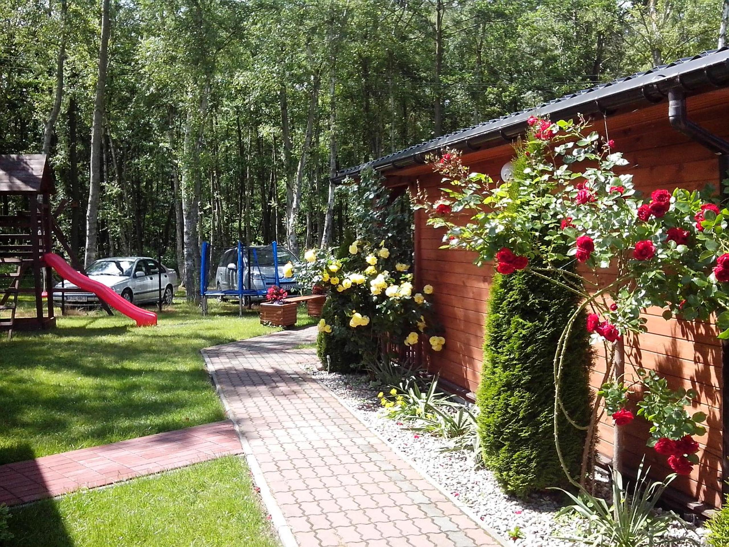 Photo 17