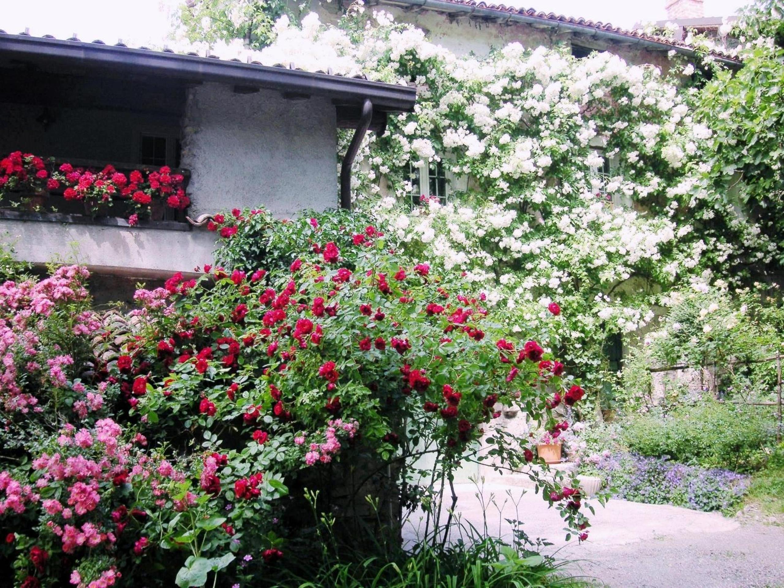 Photo 47