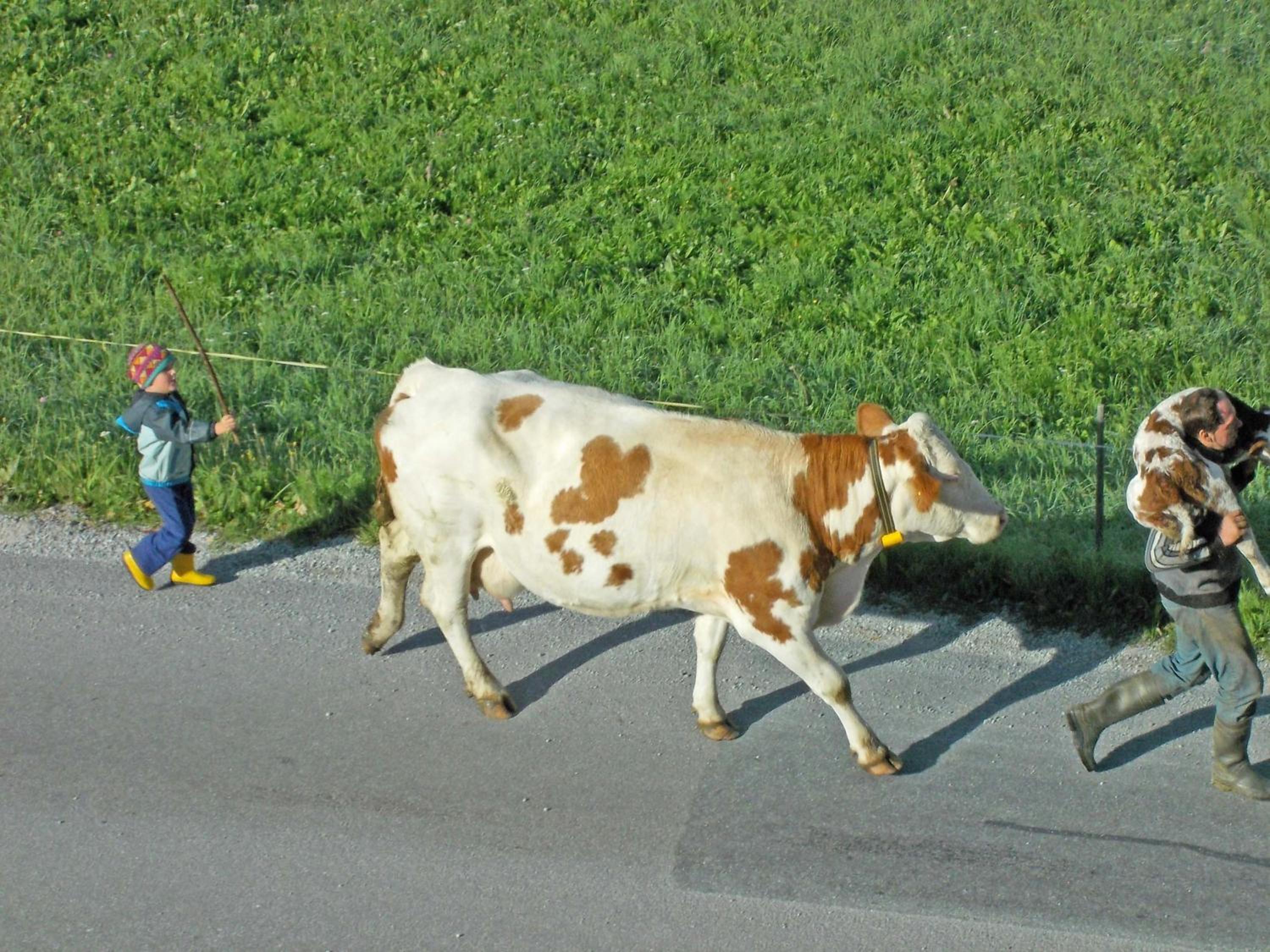 Bauernhof Trinkergut