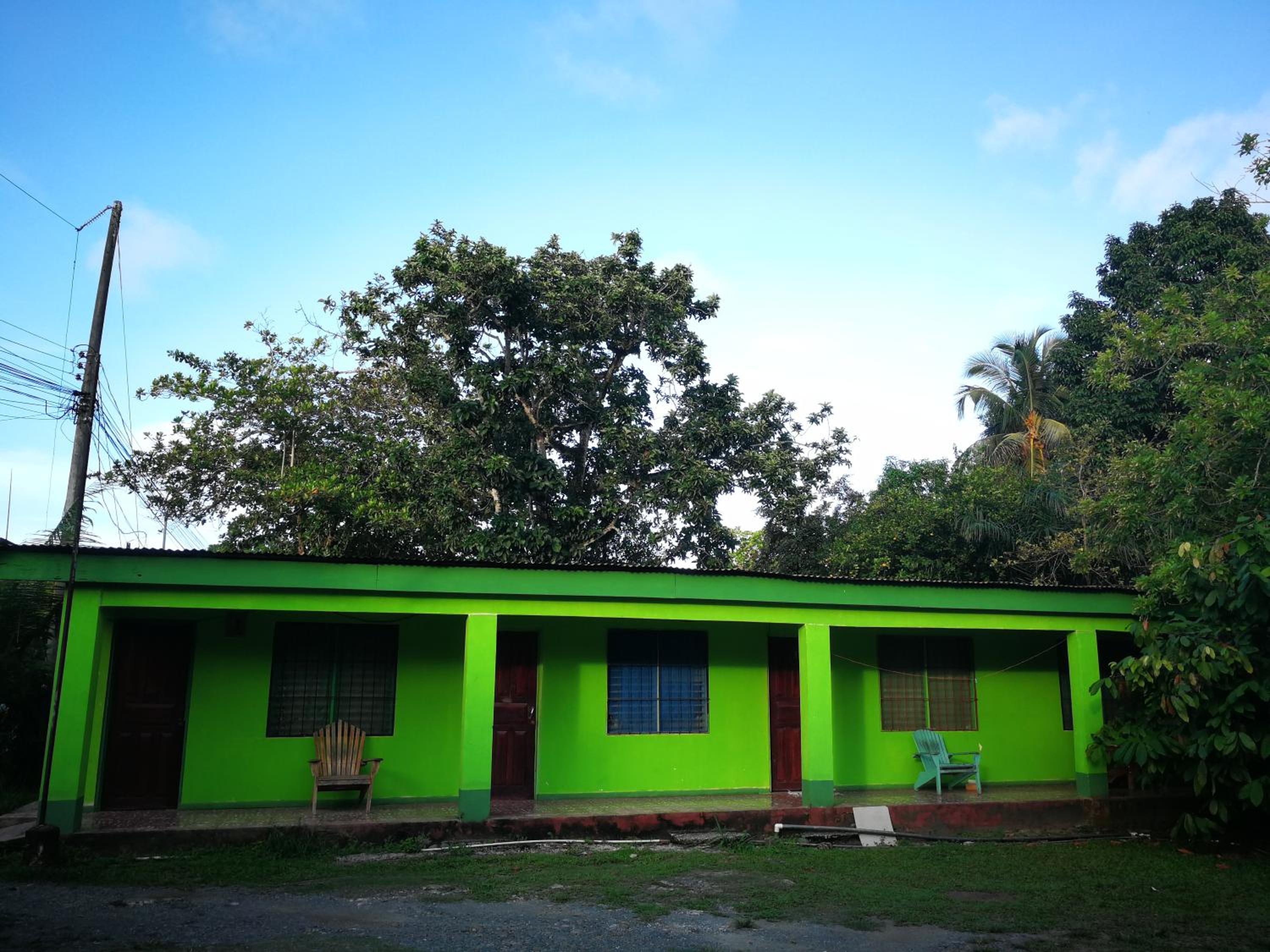 Photo 8