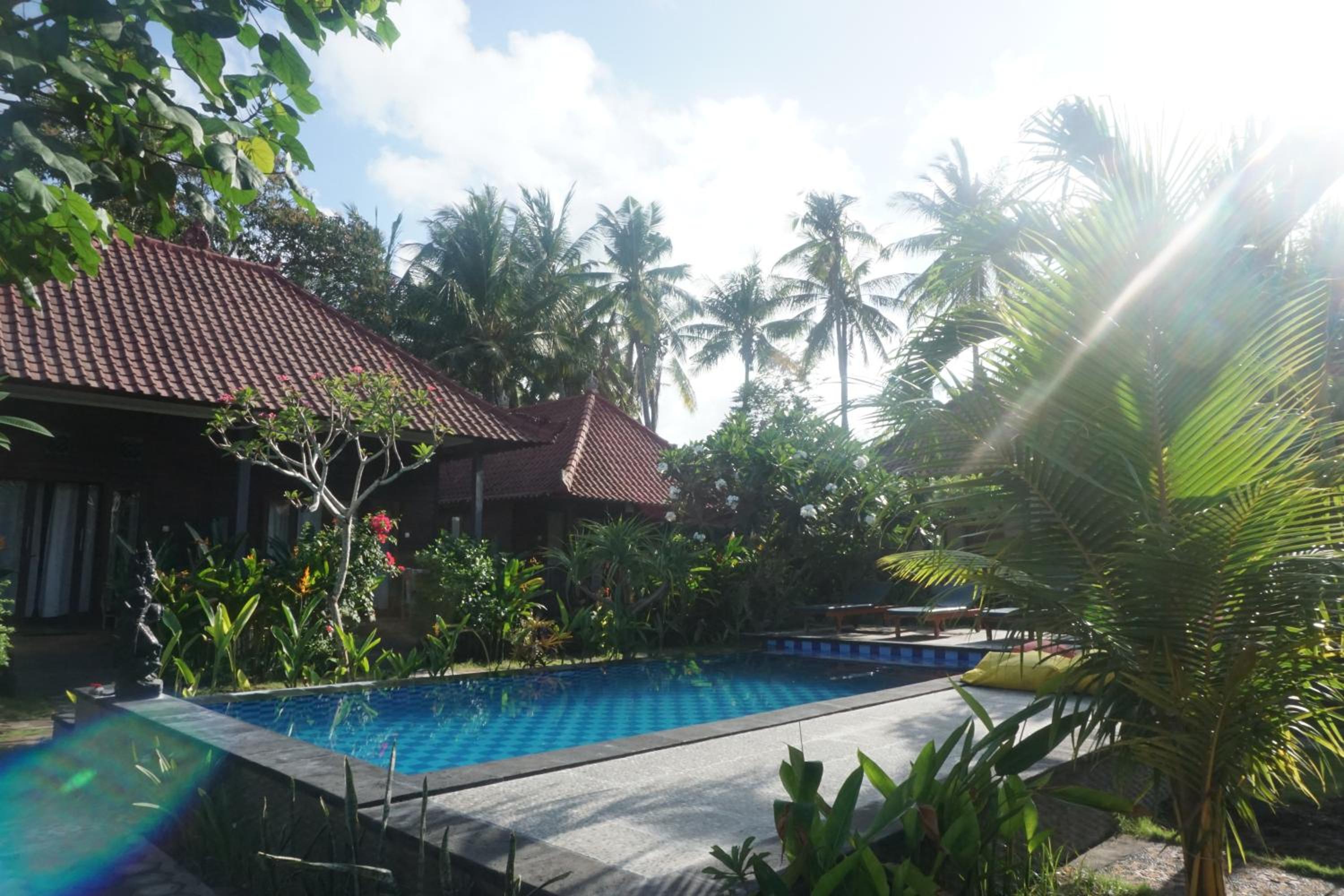 Nyoman Guesthouse and Grill