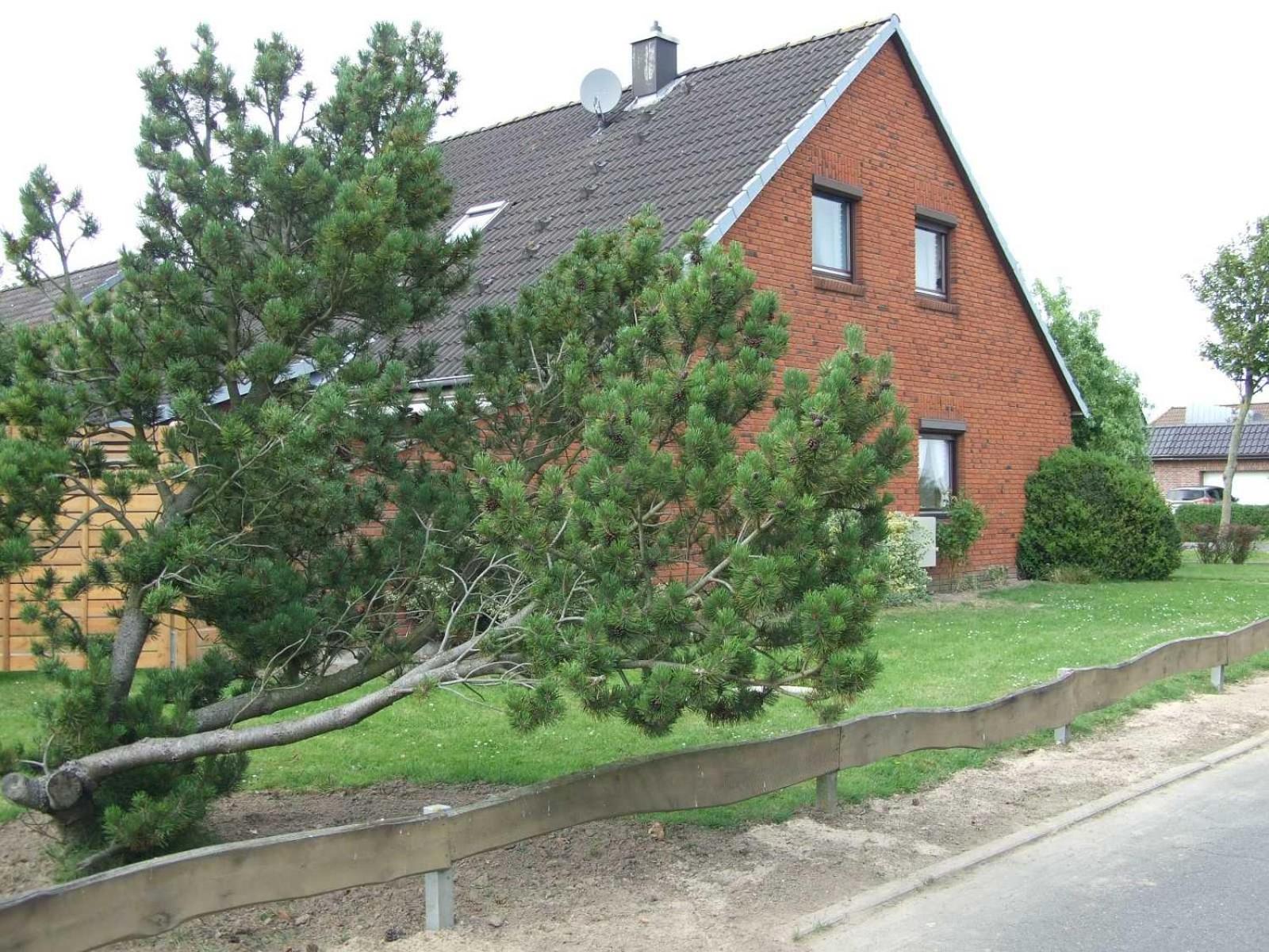 Doppelhaushaelfte Thormaehlen_Wulf