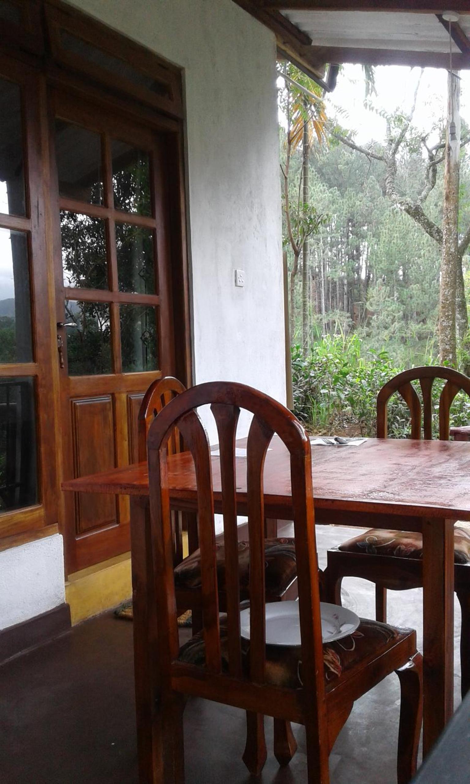 Mountain nest view 3