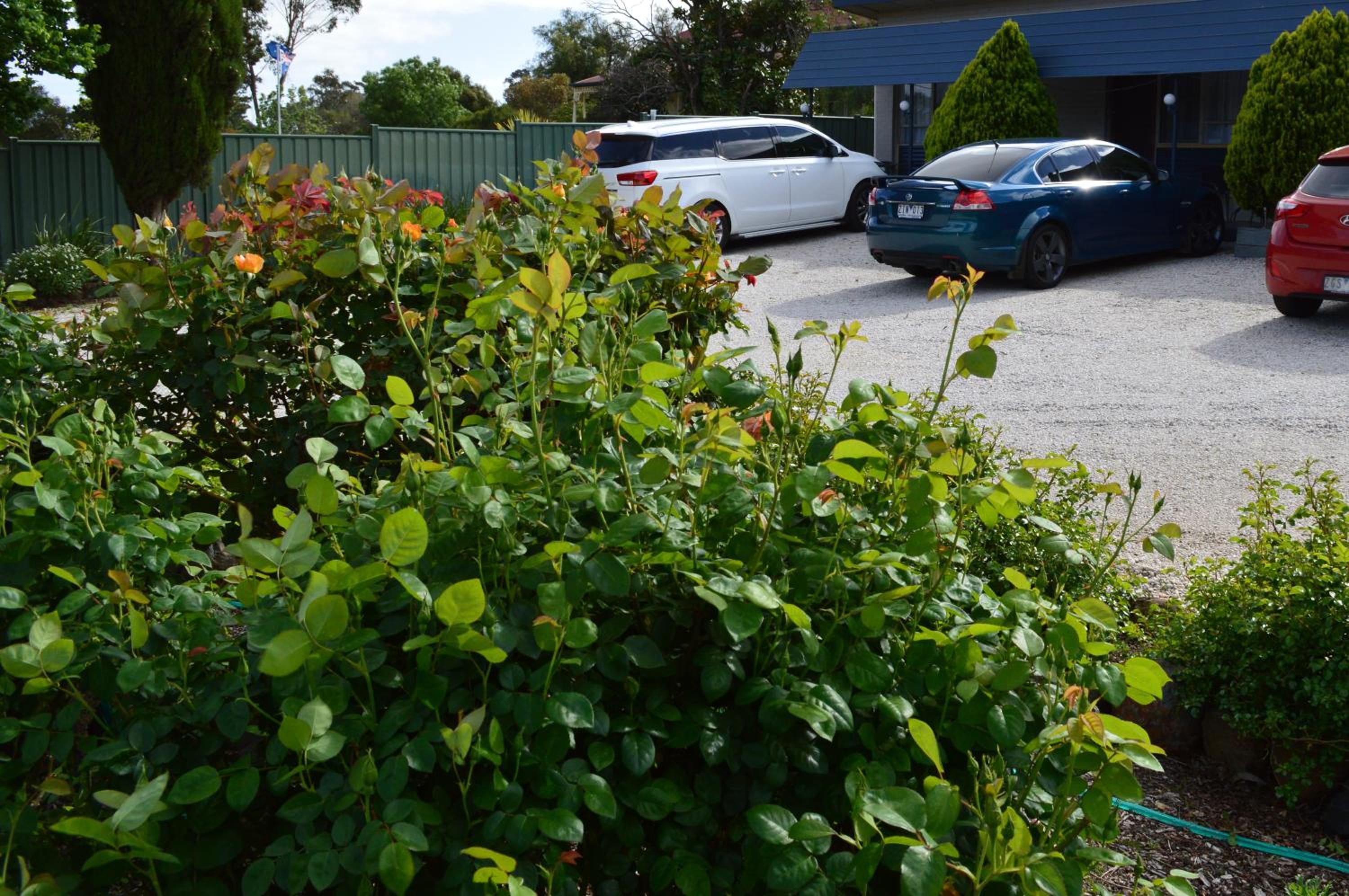 Wattle Grove Motel Maryborough