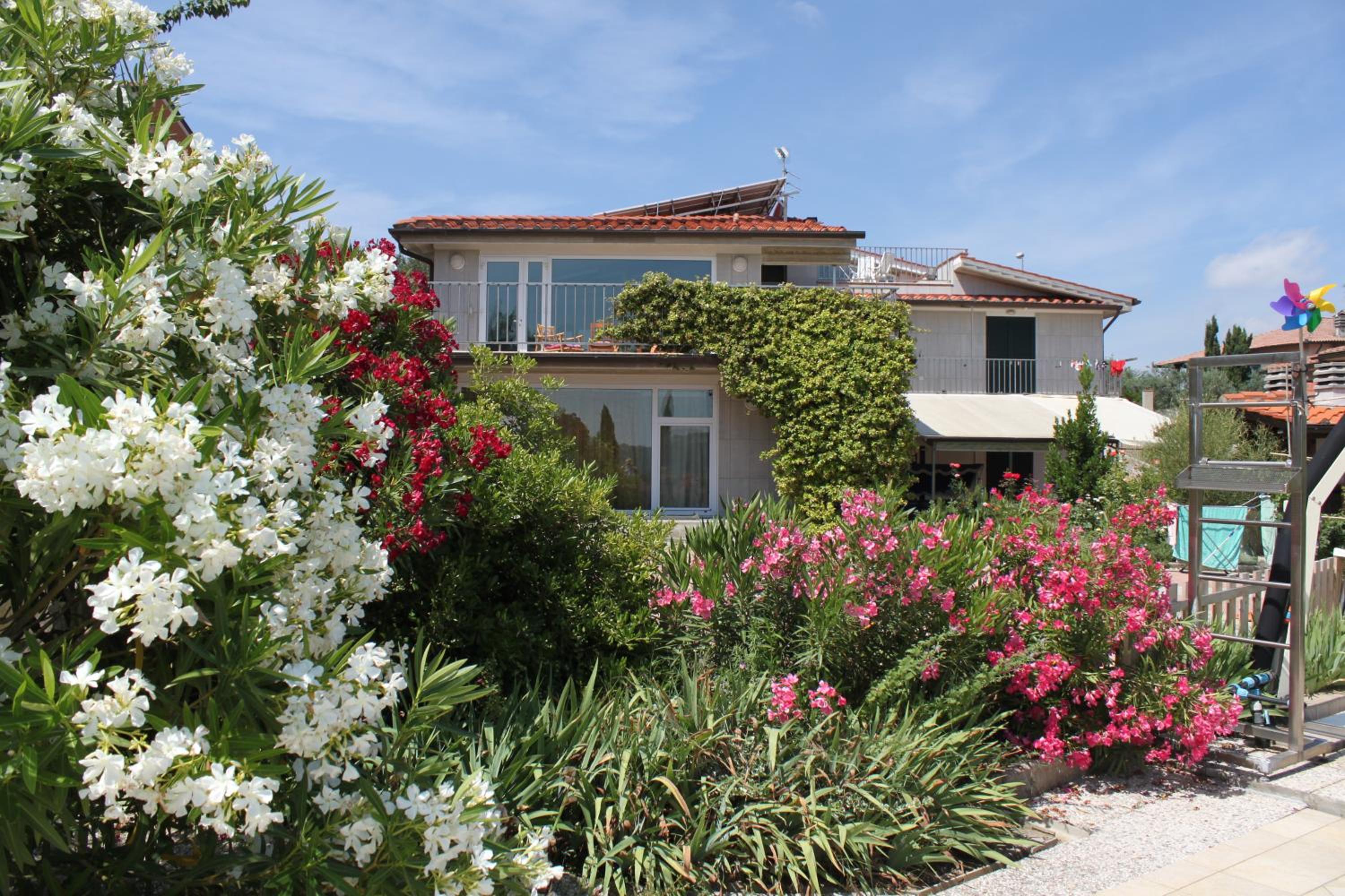 Photo 10