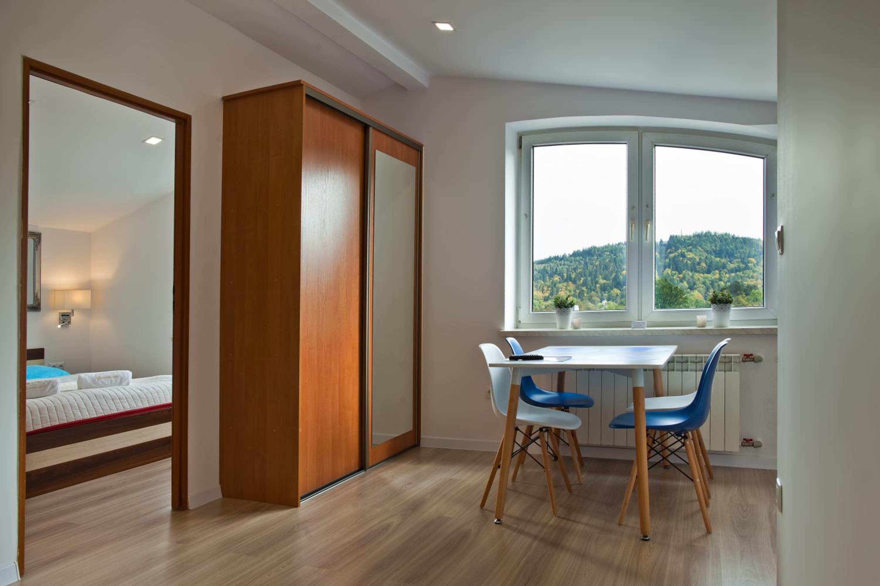 Apartament City Center Best View view 3