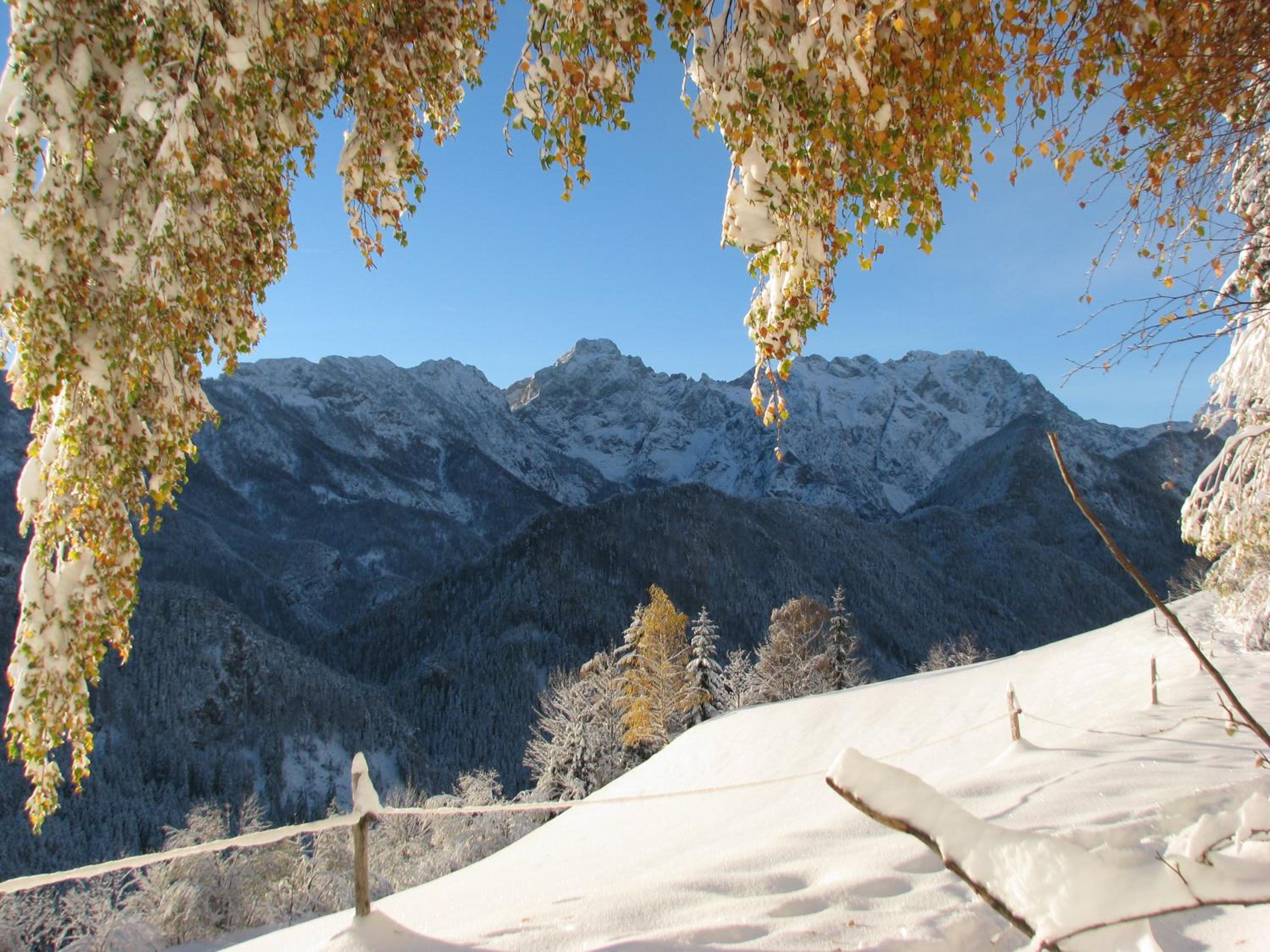 Photo 48