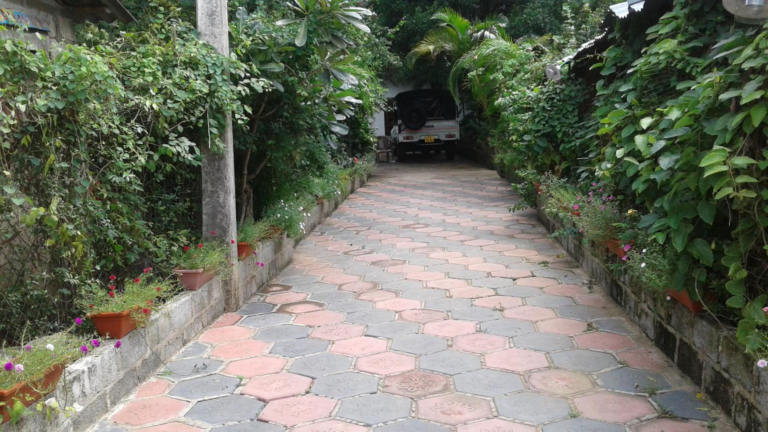 Photo 12