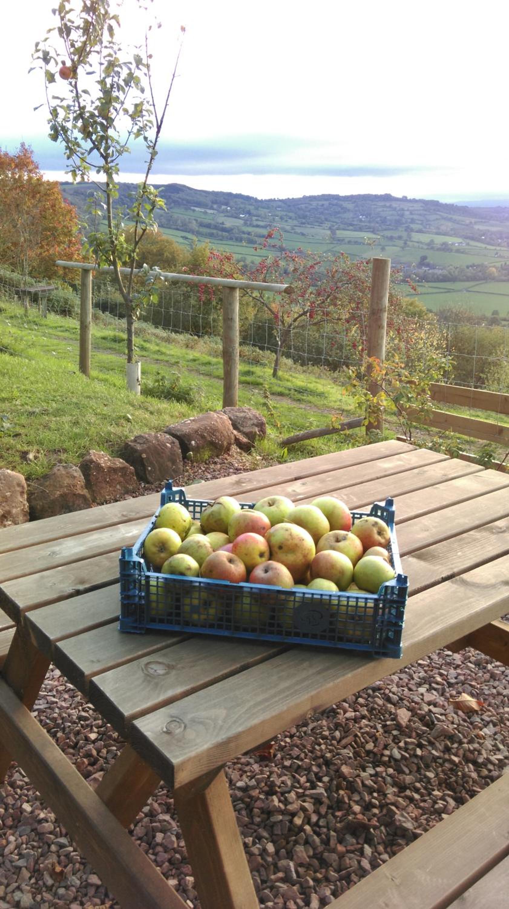 Top Barn Wales view 5