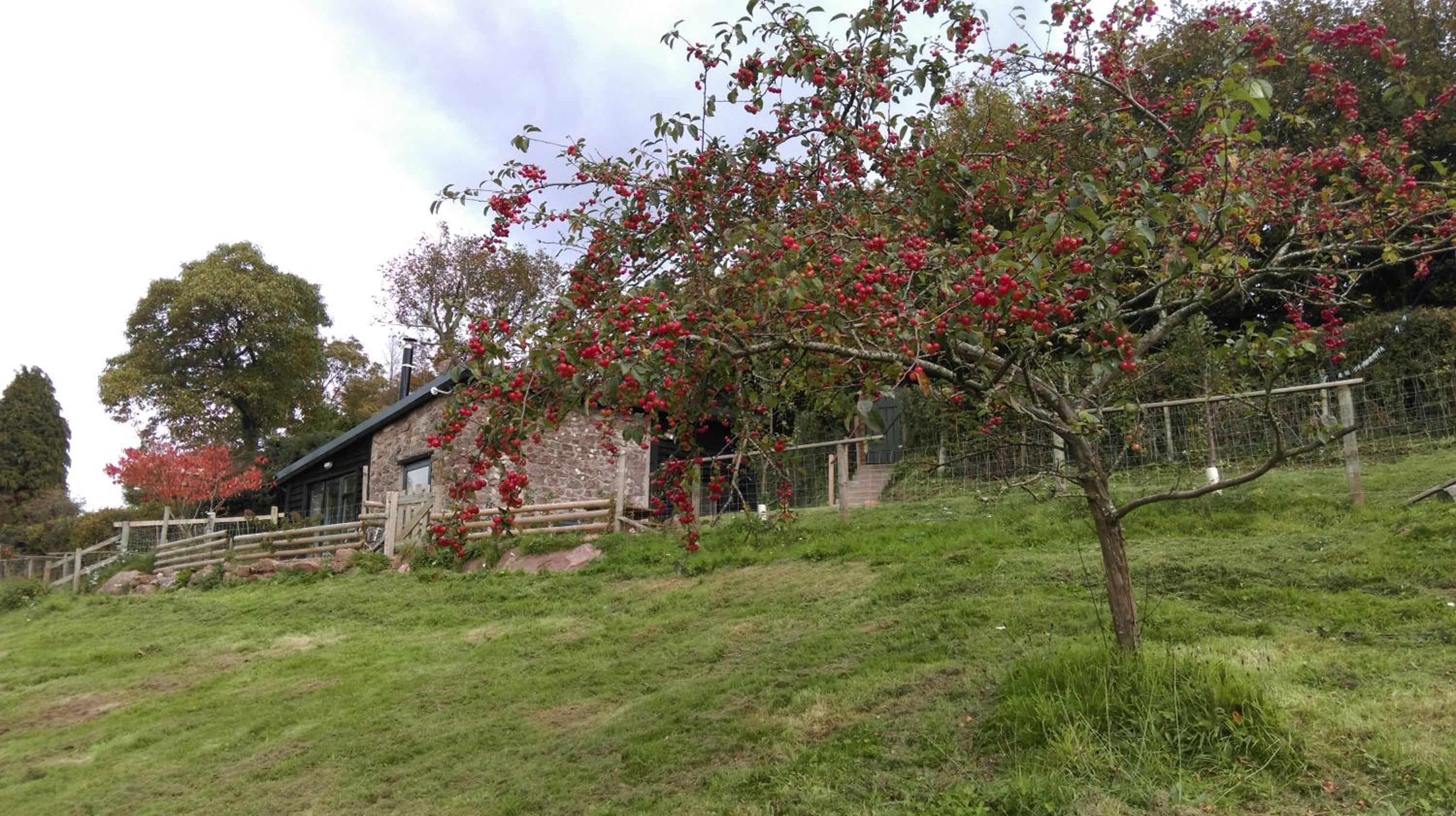 Photo 26