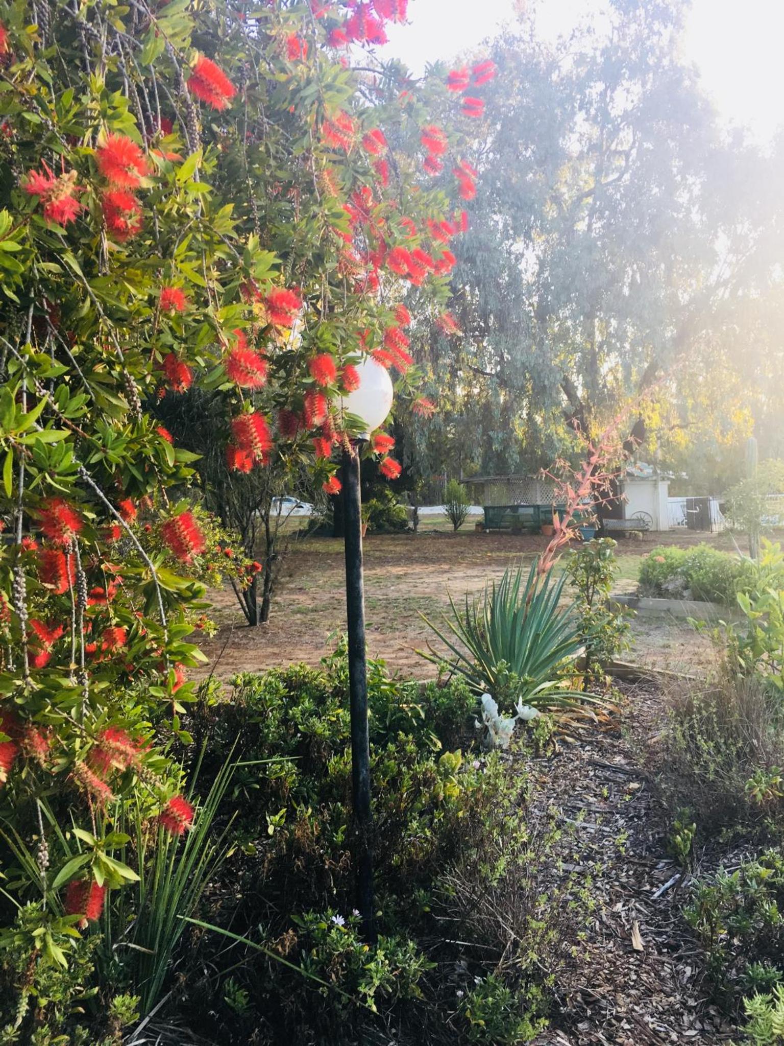Azalea Motel