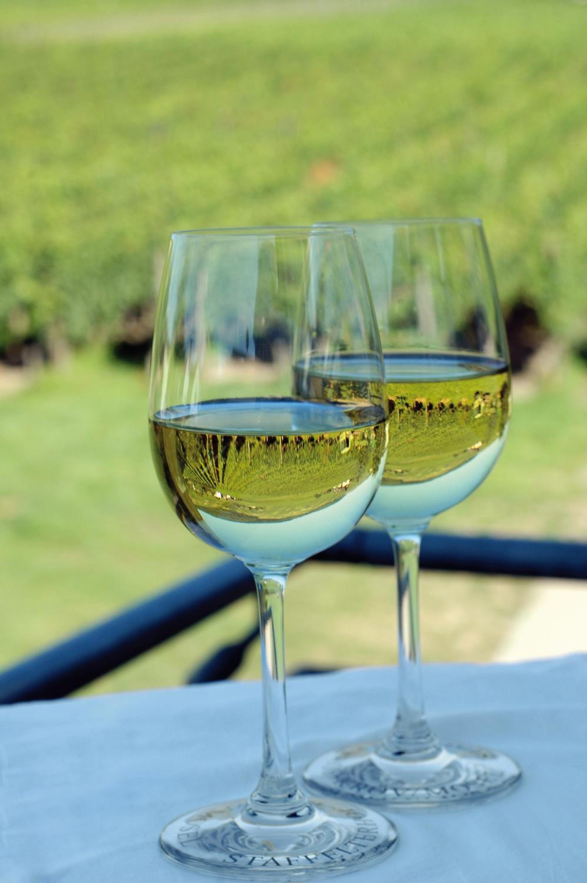 Bio-Weingut Staffelter Hof
