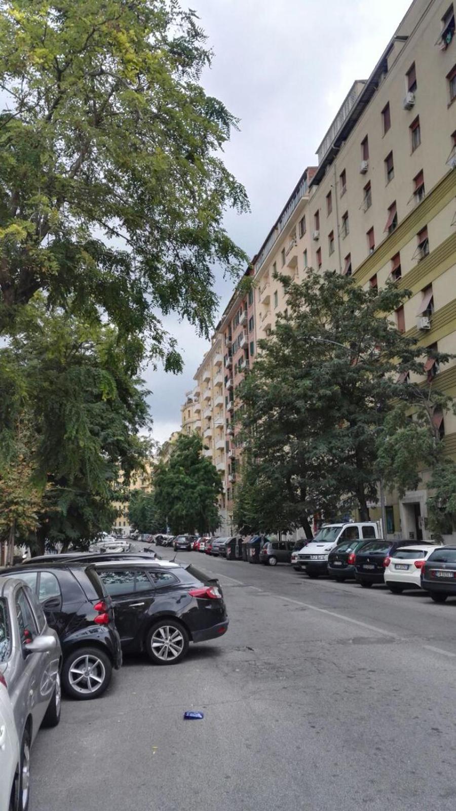 Sweet home Appio Latino