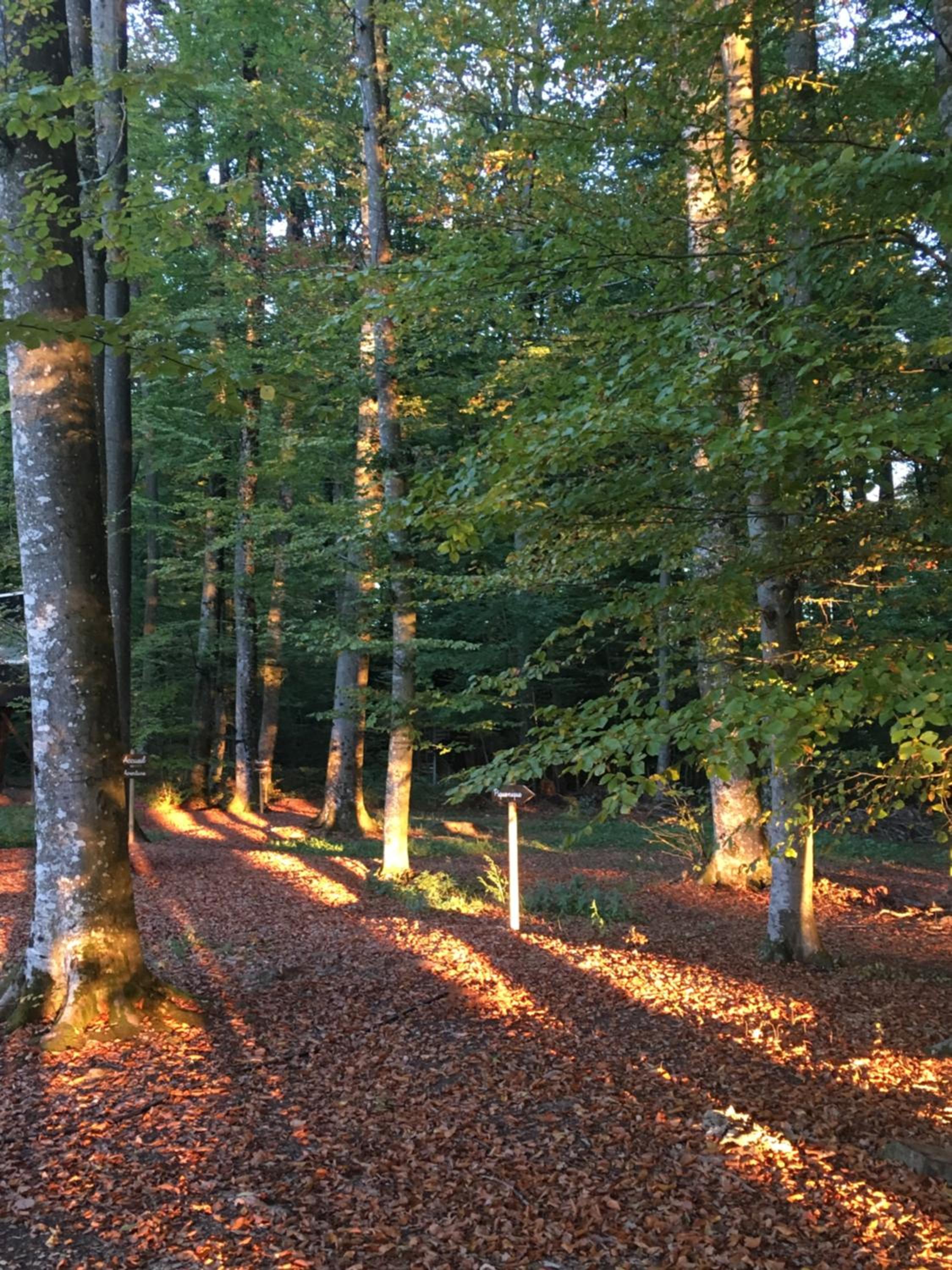 Les Cabanes du Mont