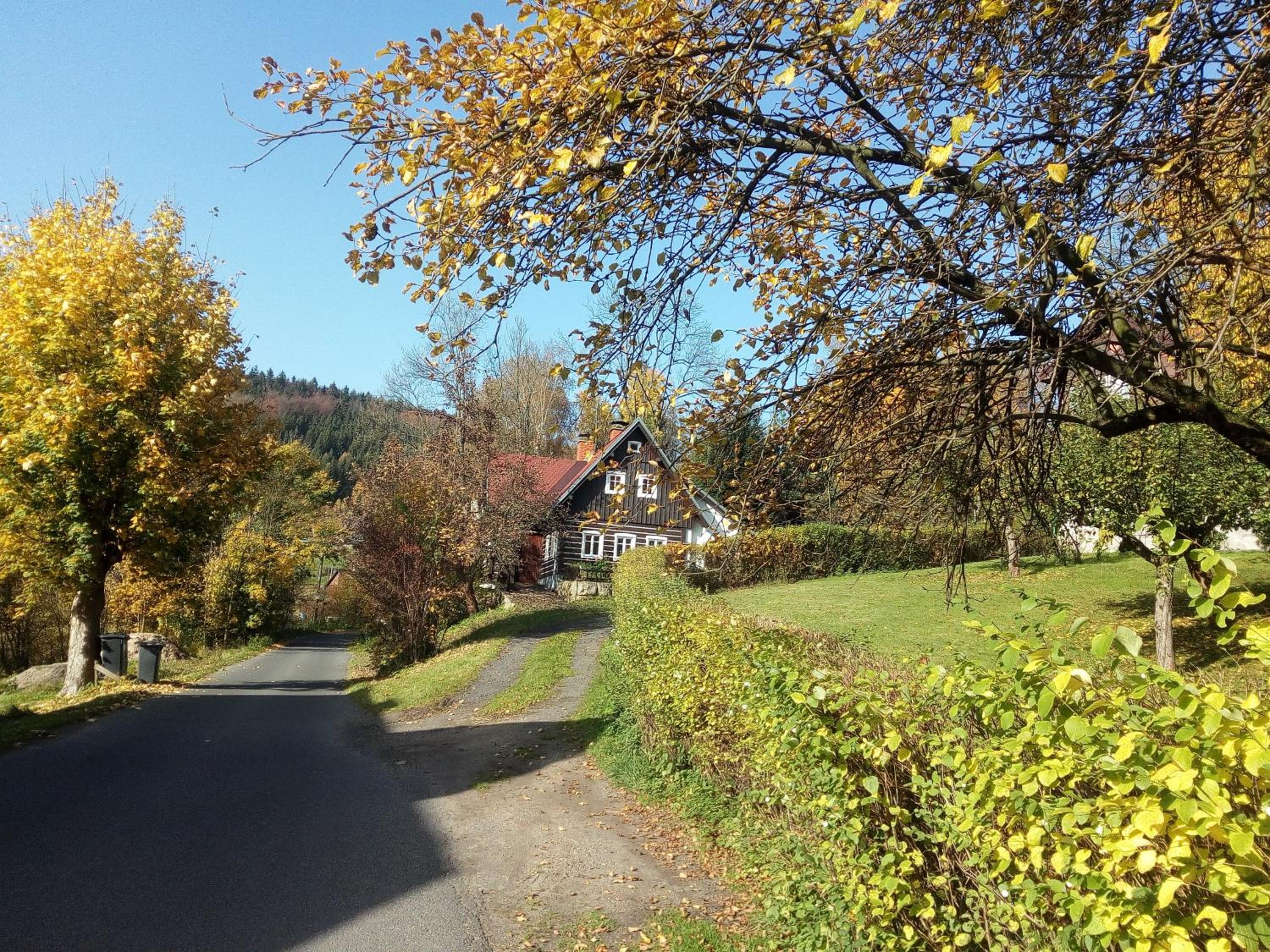 Photo 35