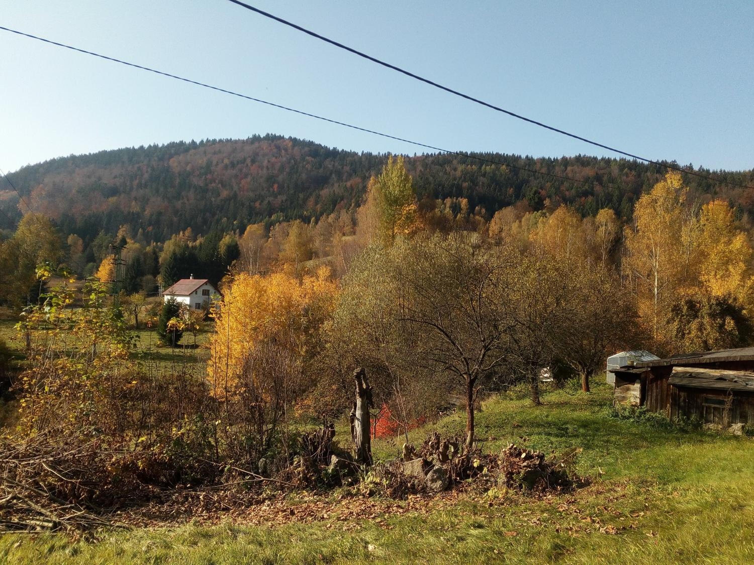 Photo 33