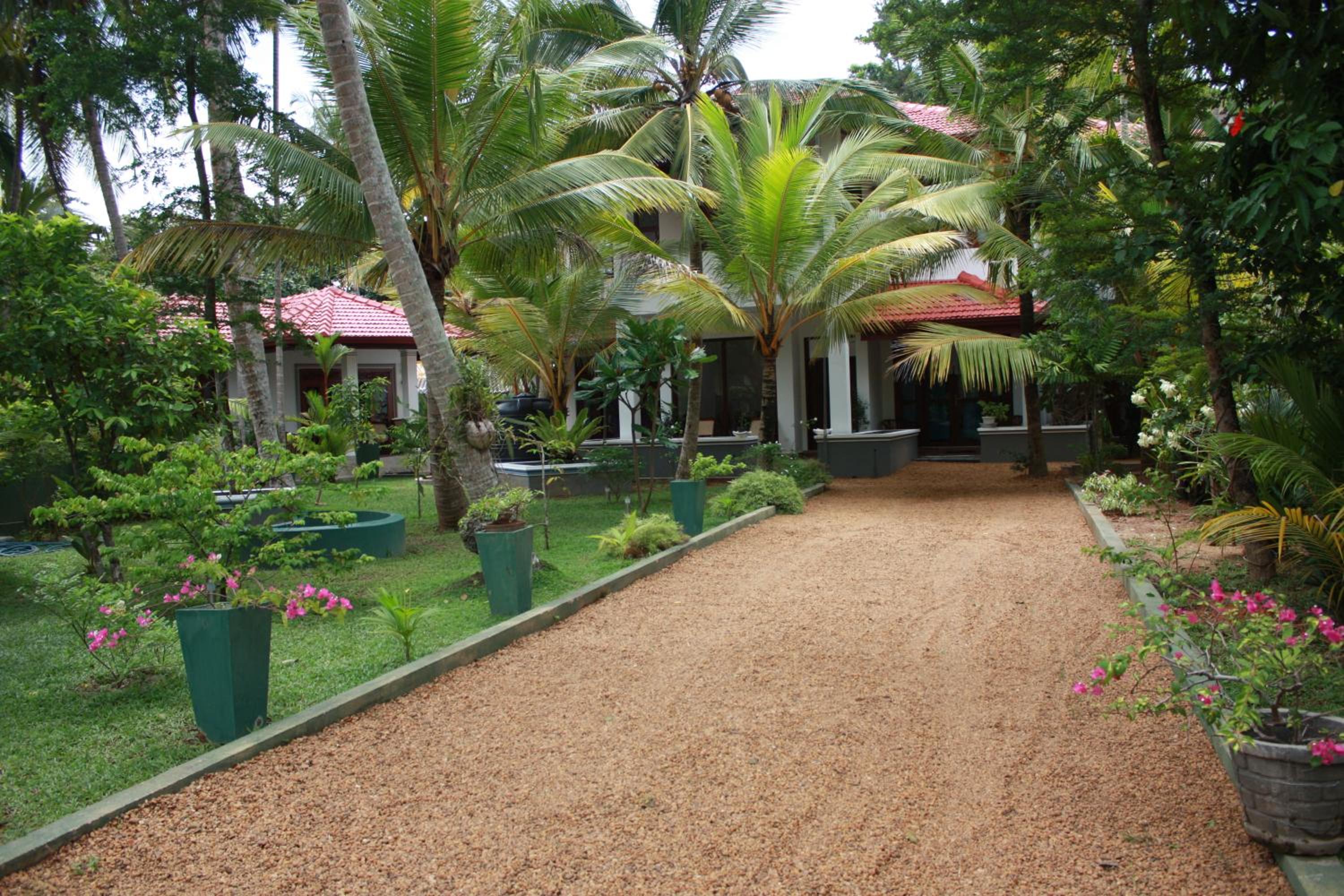 Aliya Lanka view 2