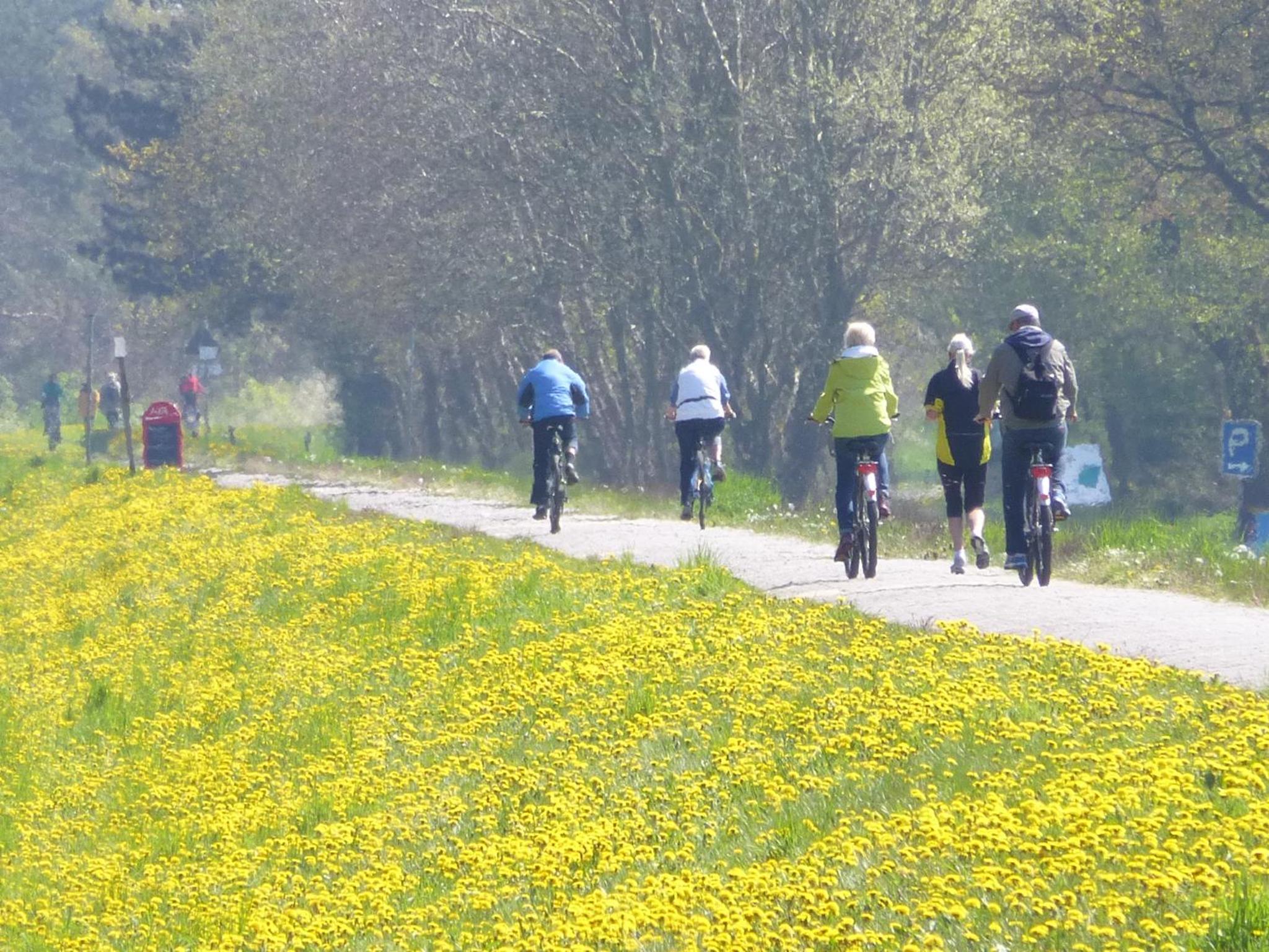Steinbock-Ferienwohnungen