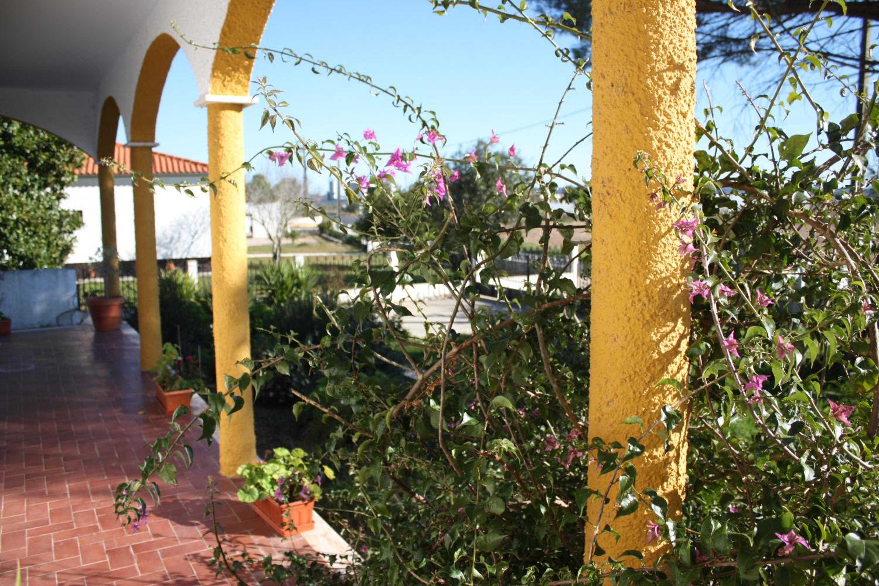 Casa das Portas view 4