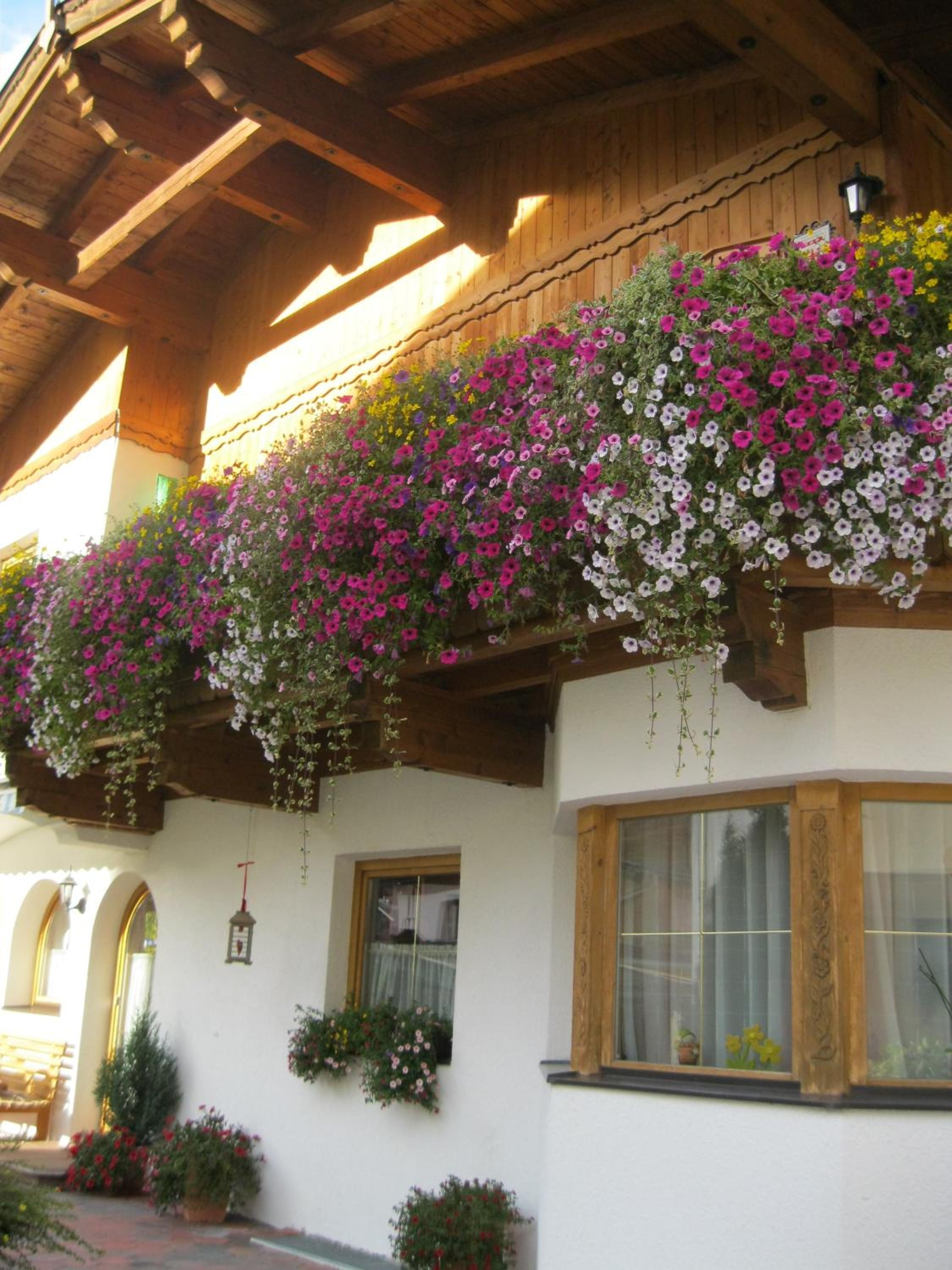 Haus Reiterer