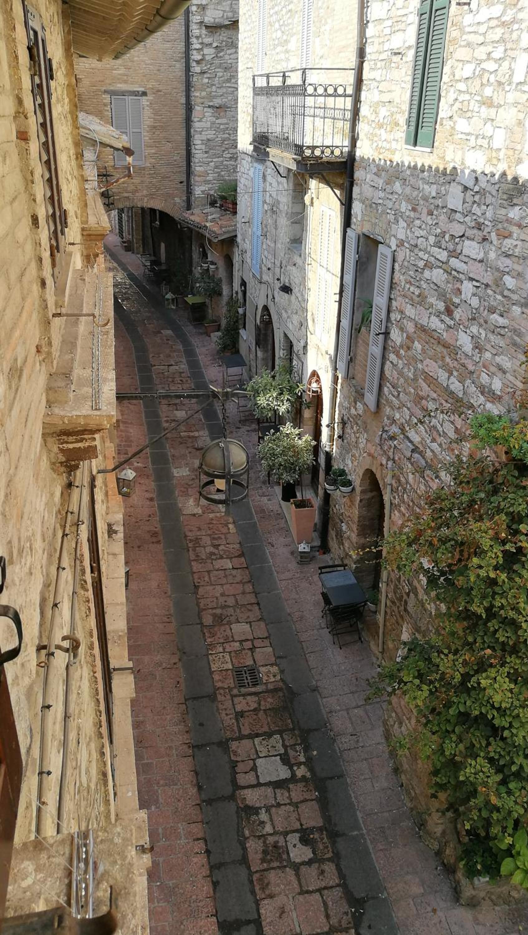 Photo 51