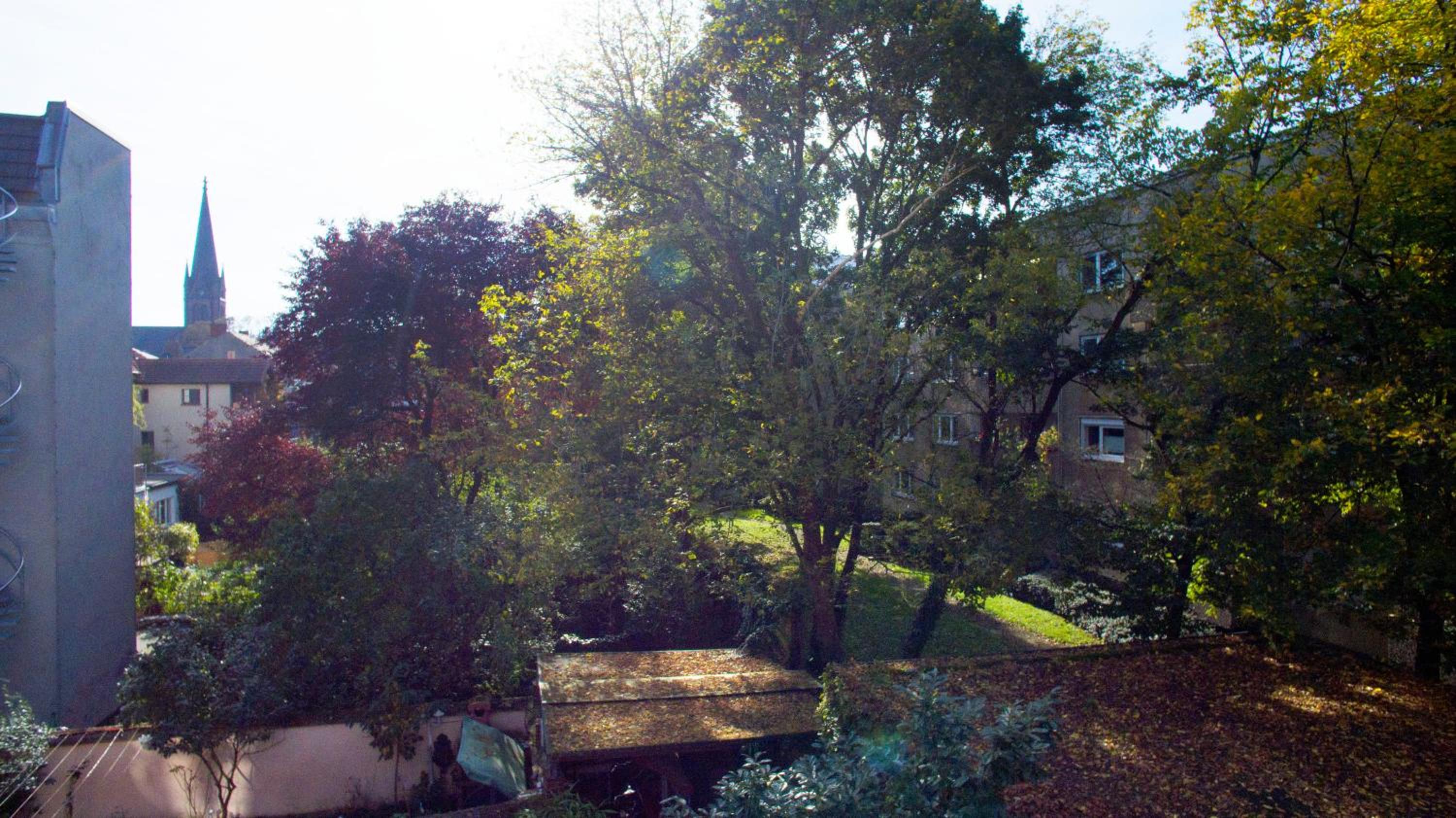 Photo 23