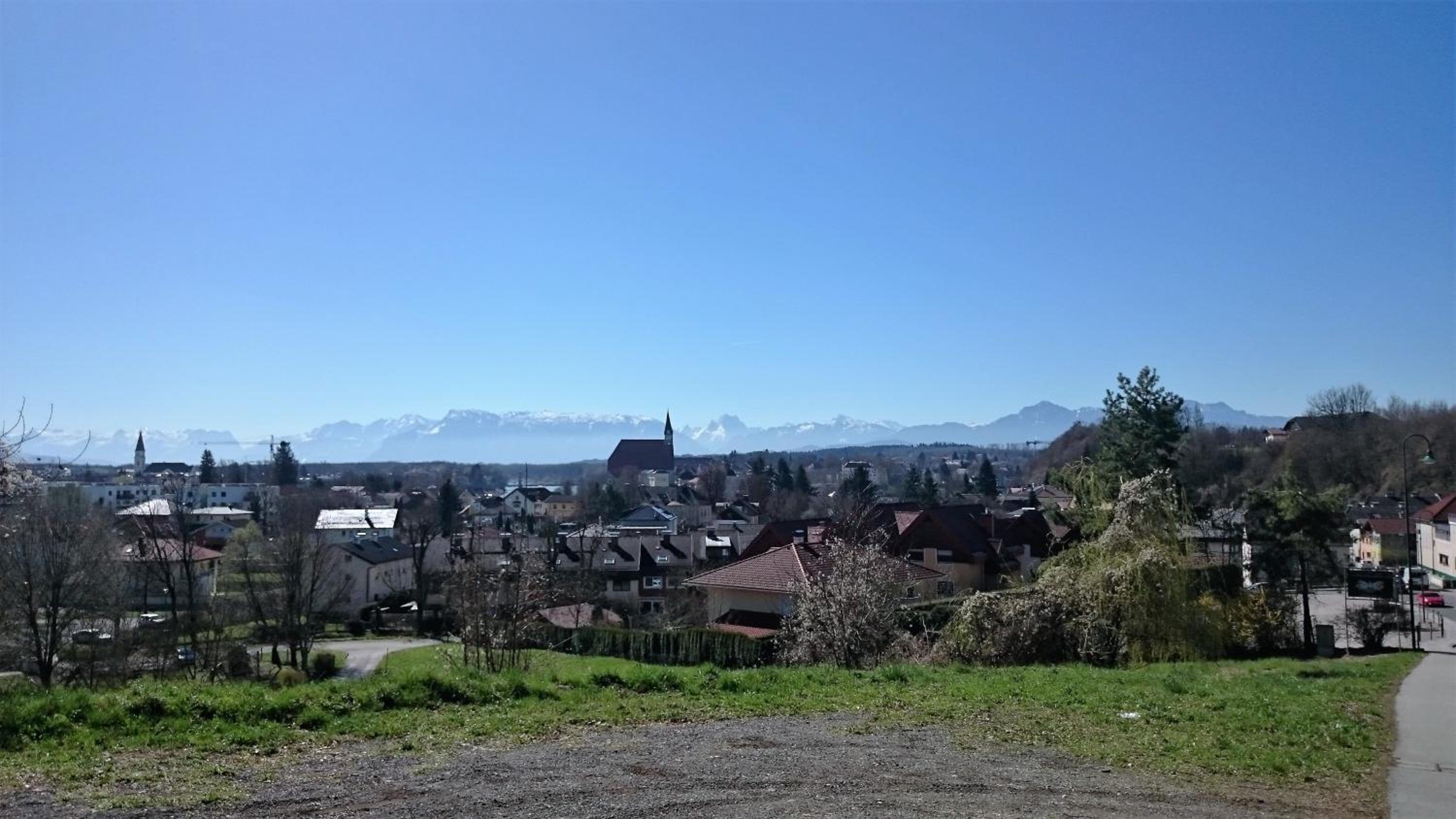 Photo 42