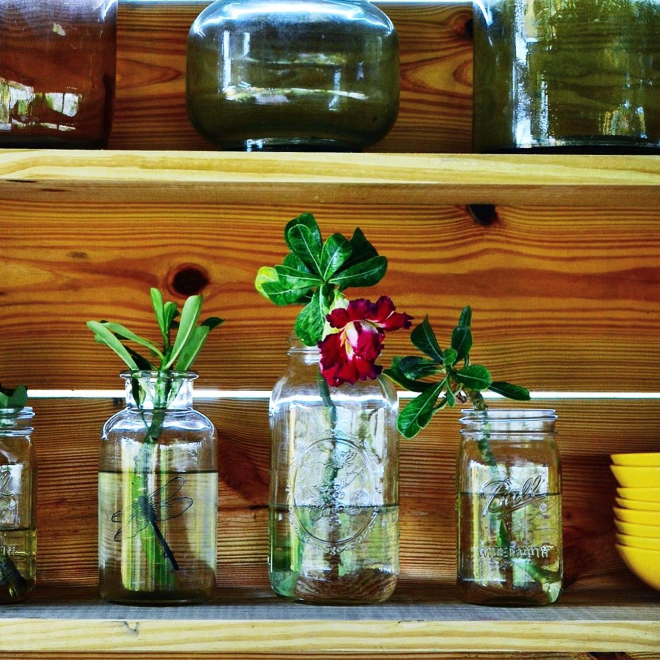 Jan Kok Lodges